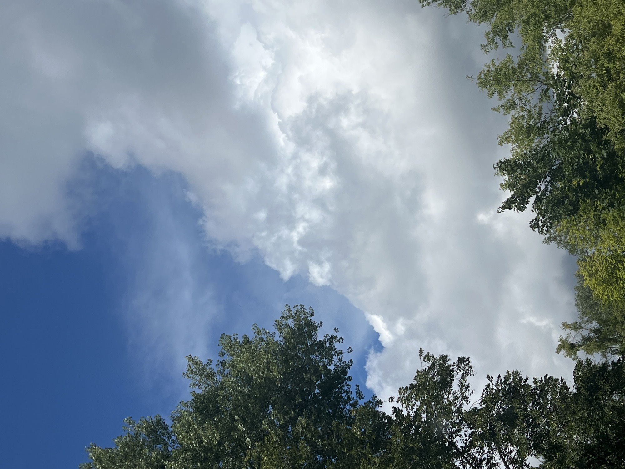 The image shows a view looking up at a partly cloudy blue sky. Lush green trees line the bottom and left sides of the frame. The clouds are large and white, with some darker gray areas suggesting depth and potential rain. The scene is likely an outdoor park or natural area within the city of Warsaw, Poland, given the presence of mature trees and the general aesthetic of urban green spaces. There are no people or specific structures visible.