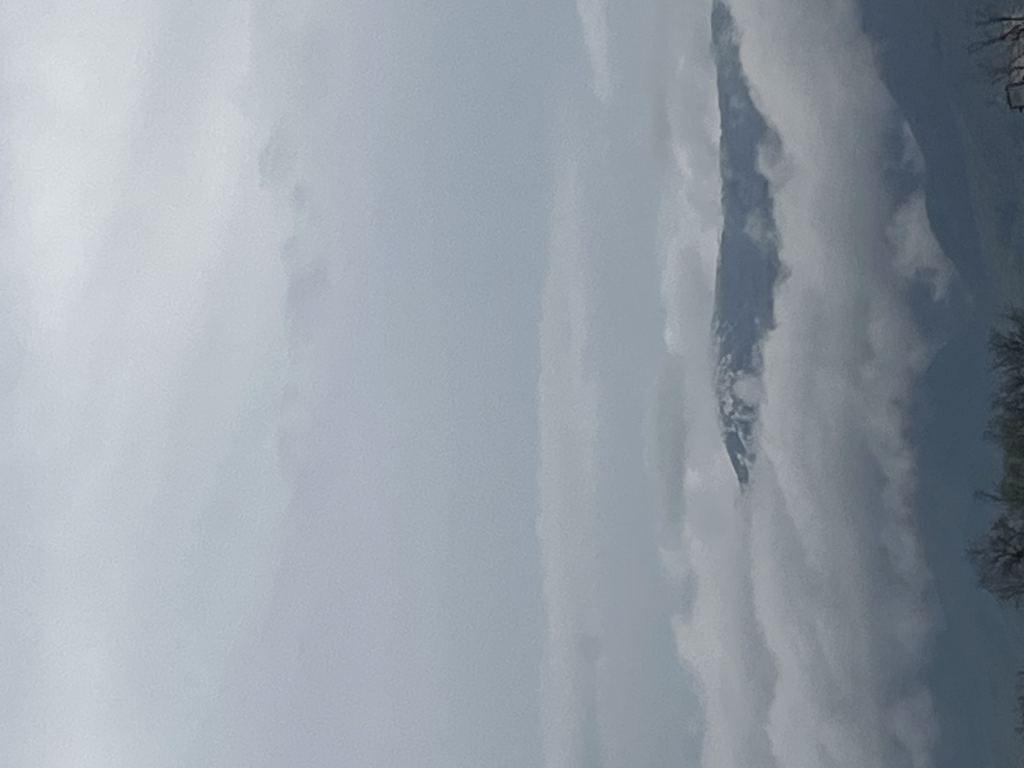 The image displays a vast natural landscape, dominated by an overcast sky and a partially obscured mountain range. The upper two-thirds of the frame are filled with dense, light grey clouds, indicating an overcast day.
On the right side, a dark, rugged mountain peak or ridge emerges from behind and above the cloud cover. Patches of white, possibly snow or ice, are visible on its slopes, contrasting with the dark rock. The overall appearance suggests a formidable, high-altitude terrain. On the extreme right edge, the bare, dark branches of a deciduous tree are visible, implying the season is either late autumn or winter.
The scene lacks any human activity or discernible objects other than the natural elements. The light is diffused, characteristic of a cloudy day, creating a muted and cool color palette of greys, blues, and dark greens. There is no visible text. The image conveys a sense of grandeur and the raw beauty of a mountainous region under atmospheric conditions.