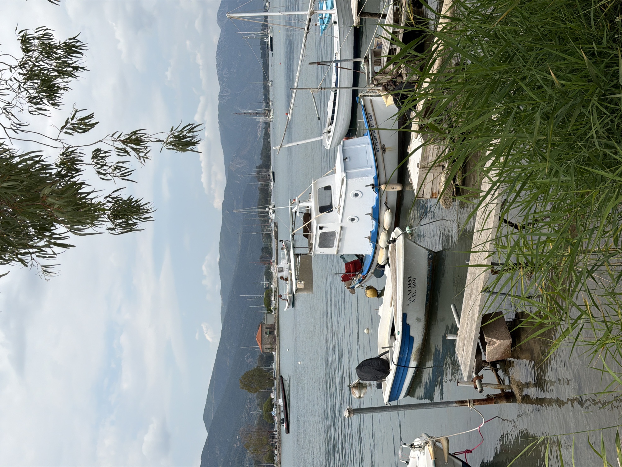 The image presents a marina scene in Poros, Greece, featuring a series of docked boats. The primary subject is a white and blue fishing boat with the name "AΓ. ΓΕΩΡΓΙΟΣ ΛΠ 1857" inscribed on its side. This boat is moored alongside a wooden dock, partially obscured by tall green grass. Several other boats are visible in the background, moored further out in the water, along with masts of sailboats. The background also features a mountain range in the distance under a cloudy sky. A few buildings and trees are visible on the shore. A tree branch with leaves is in the left of the frame.
