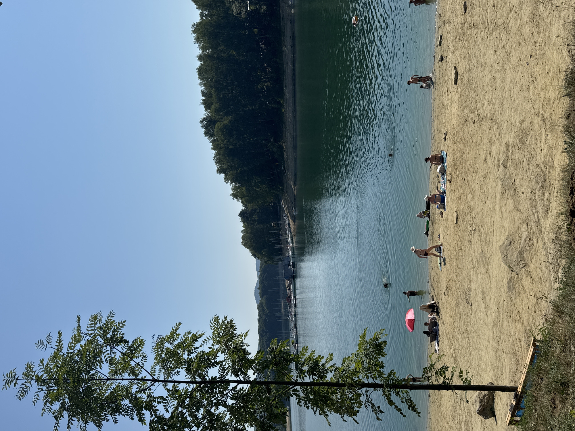 The image depicts a summer day at Lake Solina near Polańczyk, Poland. A sandy beach stretches across the foreground, populated by several people sunbathing and wading. A red umbrella is open, providing shade for a group of individuals. A lone tree stands on the left side of the beach, with its branches extending towards the clear blue sky. The lake's calm, green water is visible in the middle ground, with a few more people swimming. In the background, a dense forest lines the shore, and a marina with numerous sailboats is visible in the distance. The overall scene is one of leisure and recreation on a sunny day by the water.