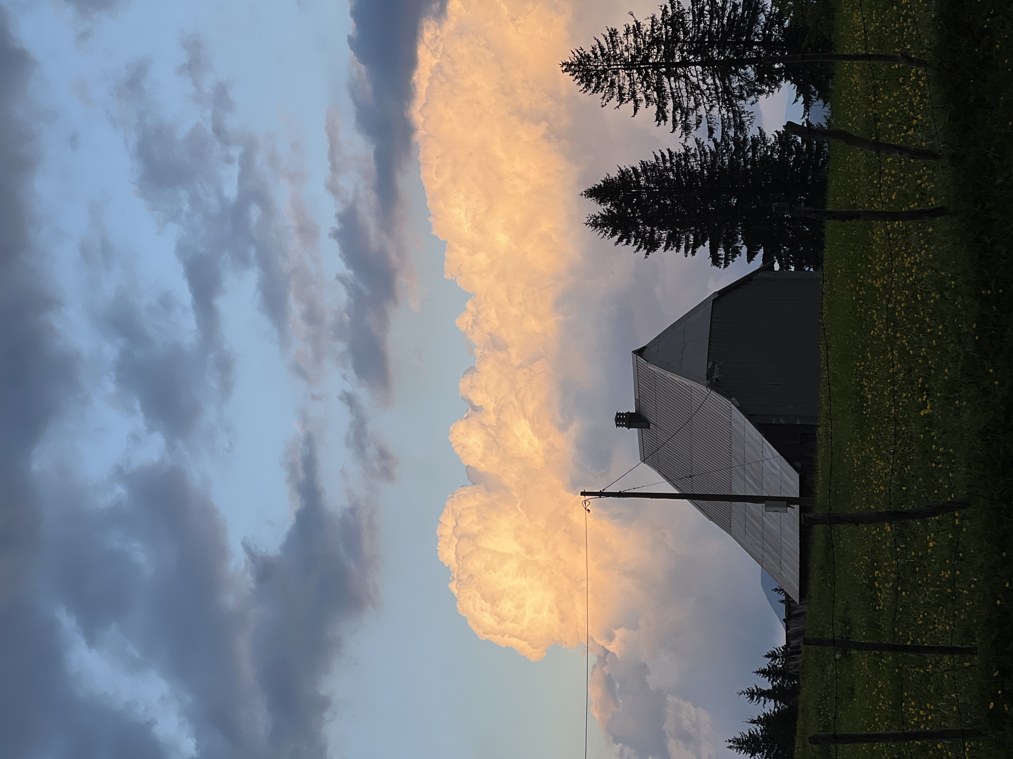 The image shows a landscape with a large, billowy, peach-colored cloud dominating the sky. To the right, a gray barn-like structure with a pointed roof stands silhouetted against the bright cloud. Two tall, dark evergreen trees are positioned near the barn. A wooden fence runs along the right side, separating the field from the building. The field appears green with small yellow flowers. An electrical pole is visible near the barn. The sky is partly cloudy, with bluish-gray clouds visible on the left side. While the location is stated to be Bosača, Montenegro, no specific details in the image confirm this.