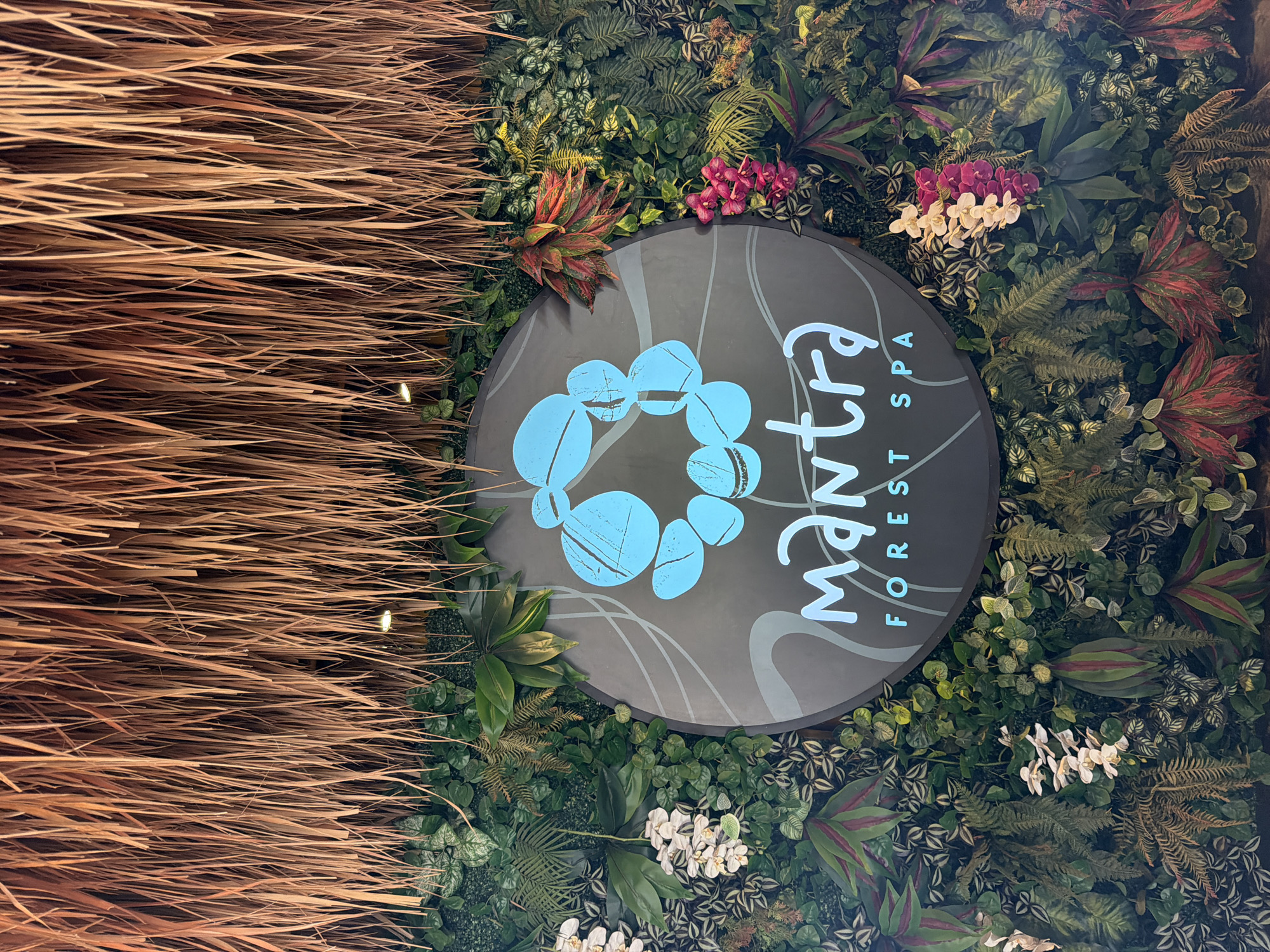The image shows a sign for "Mantra Forest Spa" displayed on a wall covered in artificial plants and natural thatch. The sign is circular and dark gray, with a light blue logo that appears to be made of interconnected circular shapes. Below the logo, the text "mantra FOREST SPA" is written in a light blue, stylized font. The plant wall features a variety of green leaves, ferns, and some artificial orchids in white and pink. Natural thatch hangs from the top of the image, creating a roof-like effect over the plant wall. The lighting suggests an indoor setting, possibly at a spa entrance. There are no people visible in the image.