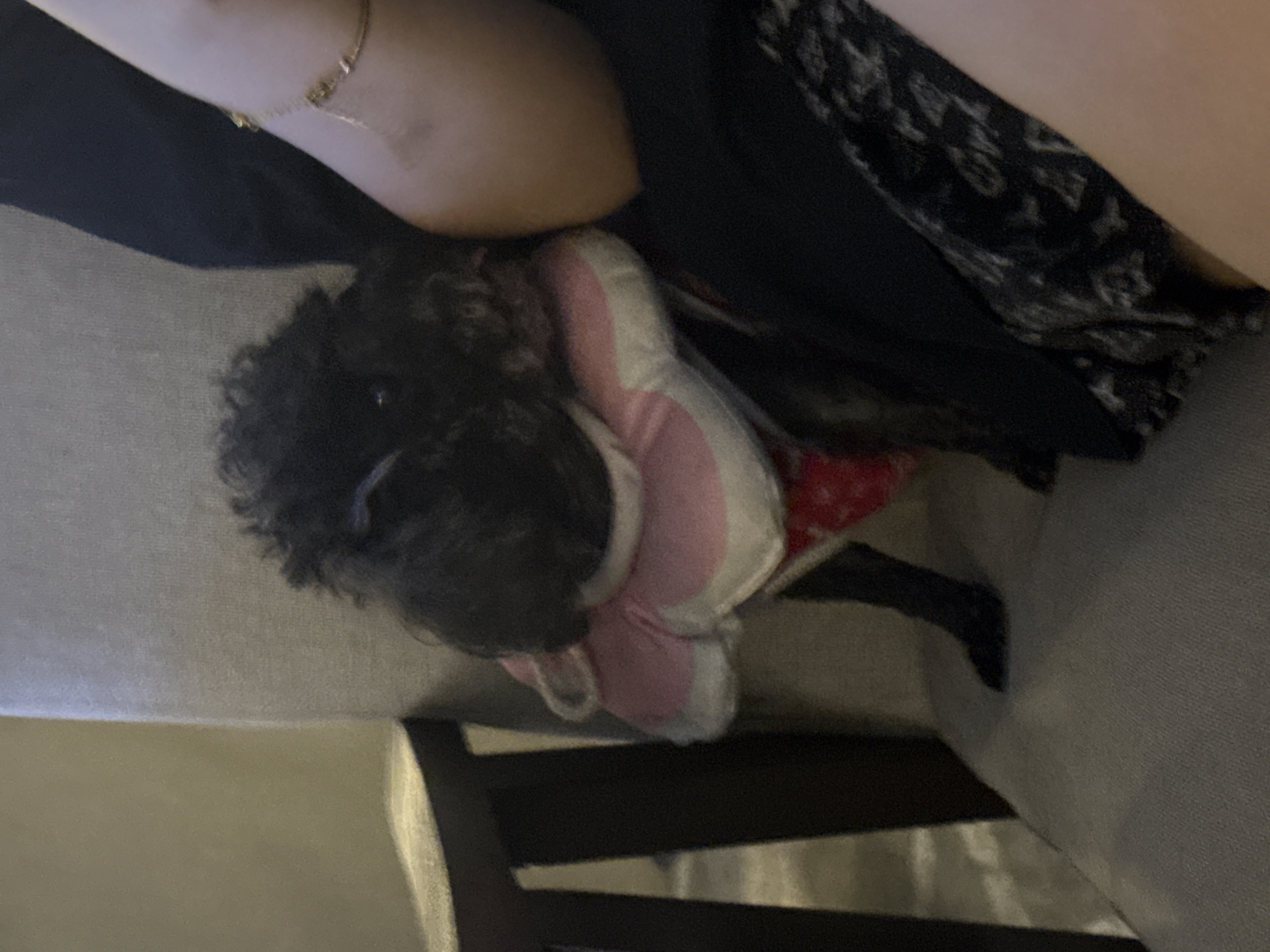 The image captures an intimate indoor scene featuring a small black dog with curly fur, seen from an overhead perspective. The dog is wearing a distinctive pink and white pet cone, also known as an E-collar, suggesting a recovery period or a need to prevent self-licking. A red garment is visible beneath the cone on the dog's body.
A person's arm or leg, adorned with a delicate gold bracelet, is partially visible in the upper part of the frame, positioned near or resting on the dog. The setting appears to be a comfortable indoor environment, likely a living room, with the subjects situated on a light-colored couch or sofa. A dark wooden furniture piece, possibly a chair or table leg, is visible towards the bottom of the image.
The dog seems to be resting or lying down, possibly seeking comfort or companionship from the person. The artificial lighting within the room indicates it could be evening or night. The overall mood is calm and domestic. There is no visible text in the image. This scene takes place in Đà Nẵng, Vietnam.
