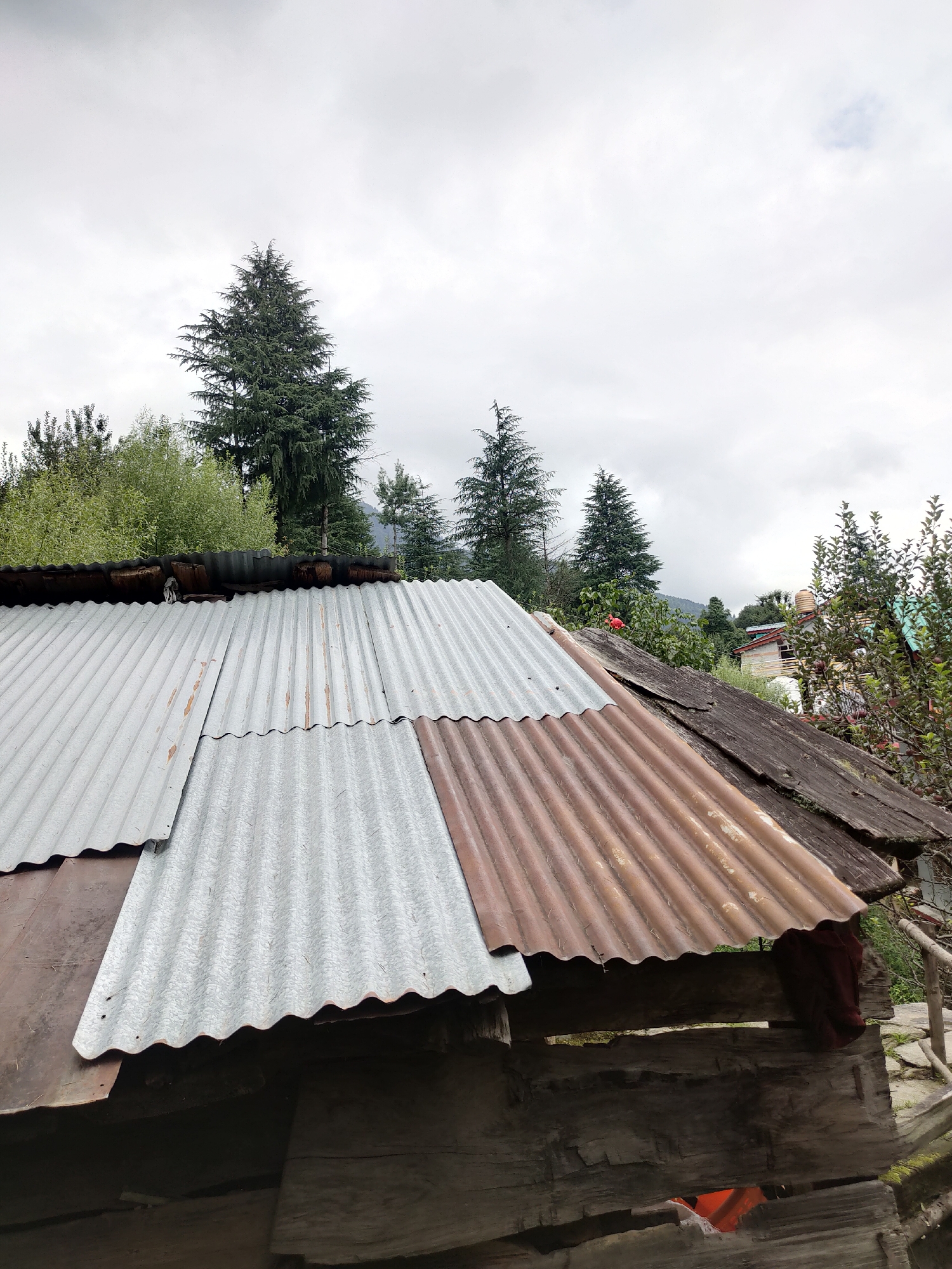The image depicts the corrugated metal roof of a rustic dwelling in Manali, India. The roof is composed of sections of both weathered, rusty corrugated iron and newer, galvanized corrugated metal. Several trees, including tall pine trees, are visible in the background, with a cloudy sky overhead. Some parts of the wooden structure supporting the roof are also visible, showing signs of age and wear. The overall scene suggests a rural or semi-rural setting in a hilly or mountainous region, consistent with the landscape of Manali.