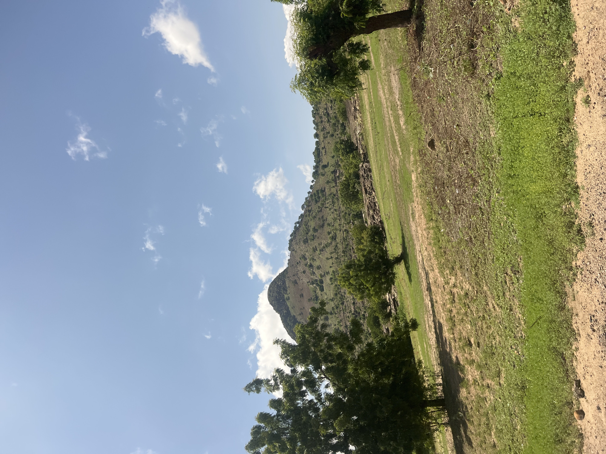 This image depicts a sunlit, rural landscape within the Balanga area of Nigeria. The scene is dominated by a prominent, conical hill or small mountain in the background, its slopes covered in sparse green vegetation, small trees, and visible areas of reddish-brown earth. The sky above is light blue with scattered white cumulus clouds of varying sizes.
In the midground, the terrain presents rolling undulations with patches of vibrant green grass, interspersed with drier, exposed reddish-brown soil. Clusters of large, dark-colored rocks or boulders are visible on the left side, nestled among the vegetation. Numerous green-leafed trees are scattered across the midground.
The immediate foreground consists of a reddish-brown dirt path or track. To the left, a large, mature tree with dense green foliage partially extends into the frame. To the right, the trunk and lower branches of another mature, green-leafed tree are visible. The ground cover in the foreground includes distinct patches of bright green, low-lying vegetation, alongside areas of exposed dirt containing dry branches and small pieces of debris. No individuals, animals, or artificial structures are discernible within the frame.