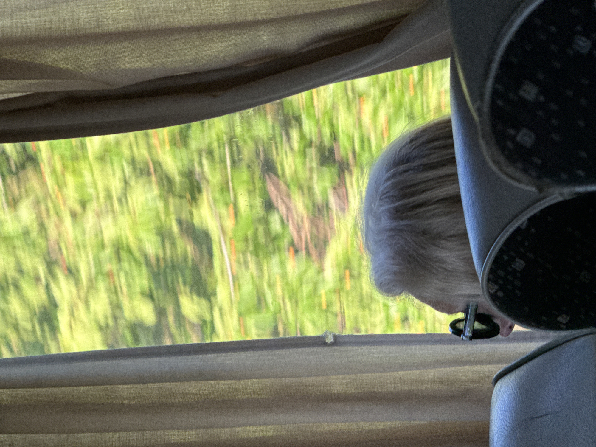 The image shows a close-up, over-the-shoulder view of an elderly person with white hair and glasses, looking out of a window. The person is seated inside a vehicle, likely a bus, as suggested by the seats in the foreground and the curtains framing the window. The view outside the window is blurred due to motion, showing a vibrant green landscape with streaks of brown and orange, indicating trees and foliage passing by rapidly. The scene appears to be set in a rural or natural area, possibly along a road or railway line. No specific landmarks or details indicating the exact location of Kamburovo, Bulgaria are visible in the image itself, other than the context provided in the prompt. The lighting is natural and diffused, coming from the window.
