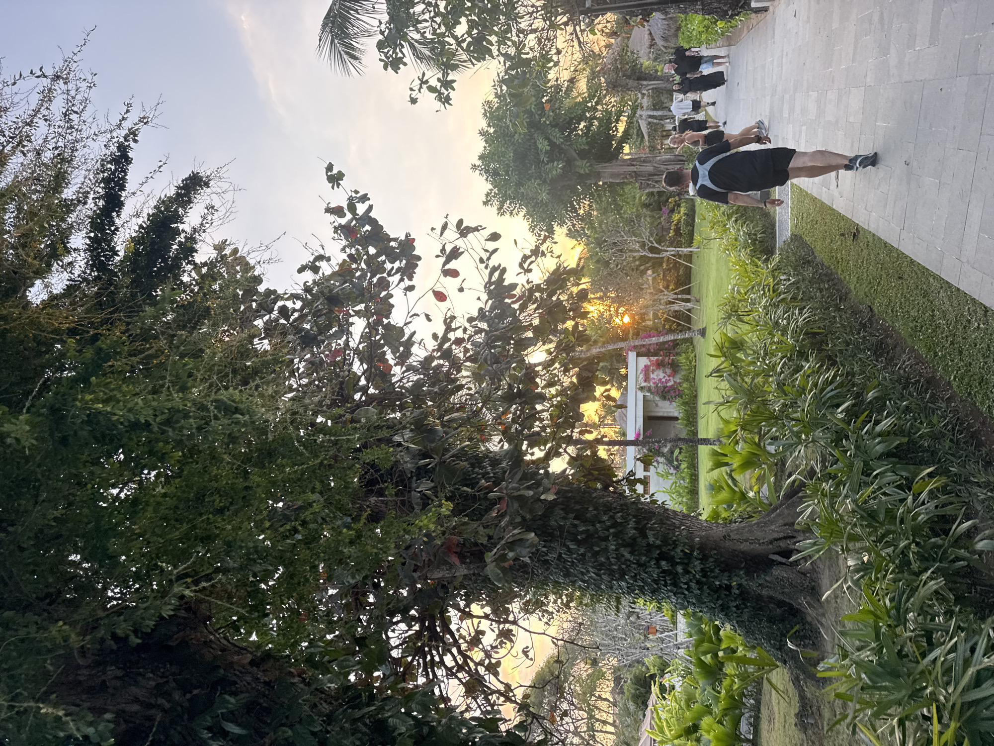 This image depicts a paved pathway in a tropical setting, possibly within a resort or park in Kuta Selatan, Indonesia, during the late afternoon or early evening as suggested by the soft, warm light. A large tree, partially covered in vines, dominates the left side of the frame, with its branches extending towards the sky. Lush green vegetation, including palm-like plants and shrubs, lines the pathway. In the background, a building with white walls and a light-colored roof is visible, along with other trees and foliage. Several people are walking along the pathway. The person in the foreground is a man wearing a black t-shirt and black shorts, walking away from the camera. Other individuals are further down the path, some appearing to be in groups. The sky is a pale blue with some wispy clouds, illuminated by the setting sun which casts a warm glow on the scene.