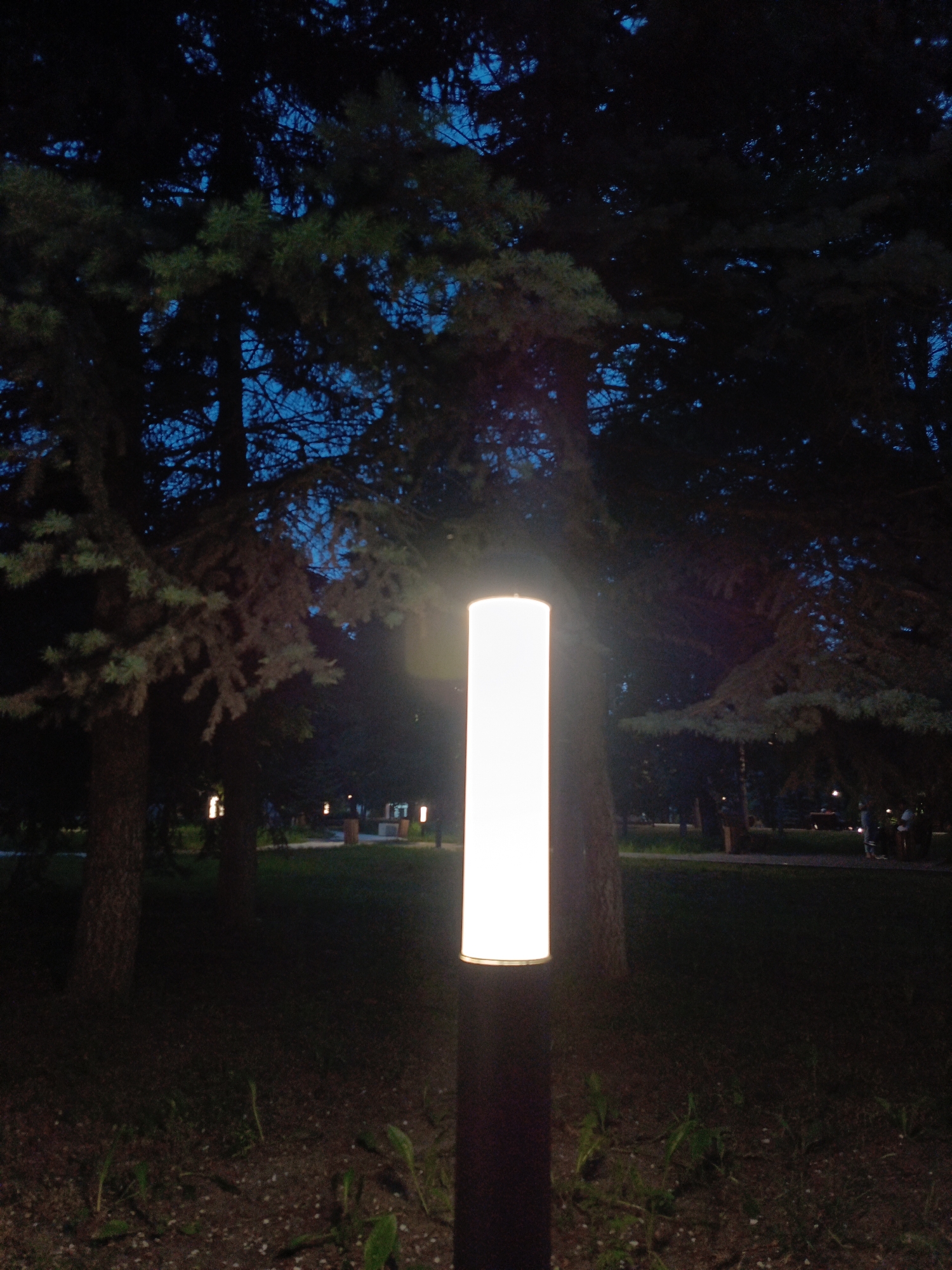 A vertical, rectangular lantern with a bright white light stands in the foreground of the image, to the right of center. The lantern is lit from within and emits a strong glow. Behind the lantern, a large tree with dark foliage and visible branches dominates the upper portion of the frame, with its branches reaching across the dark sky. To the left of the foreground lantern, another tree trunk is visible. In the background, beyond the trees, a park-like setting is discernible. Several other, smaller lanterns, also emitting white light, are scattered throughout the background. The ground in the foreground is dark and covered with a mixture of soil and small stones, with a few blades of grass. In the far background, several figures, appearing as silhouettes, are standing and walking, suggesting the presence of people in the park. The overall scene depicts a park at dusk or night, illuminated by artificial lights amidst natural foliage.