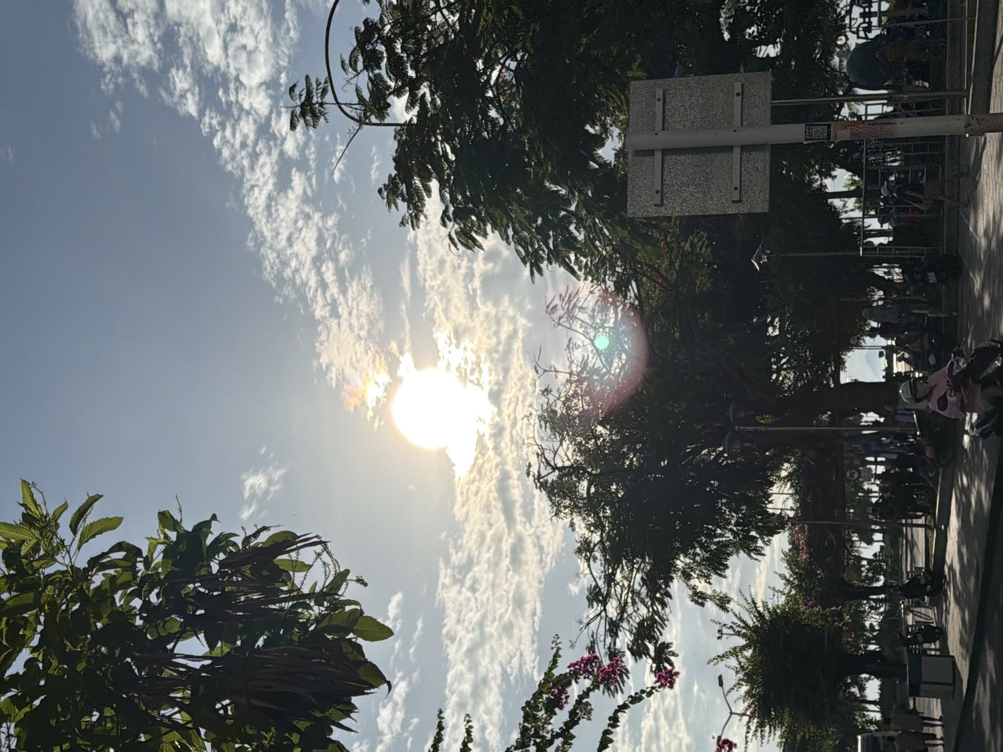 The image shows a street scene in Nha Trang, Vietnam, under a bright, partially clouded sky. The sun is prominent, creating a lens flare effect. Lush green trees with some visible fruit or seed pods dominate the foreground and midground, with some flowering branches adding touches of pink. A signpost with a QR code is visible on the right. In the background, there are more trees, people walking and sitting, and what appears to be a coastal area or park with some structures and streetlights. The overall impression is of a warm, sunny day in an urban, tropical environment.