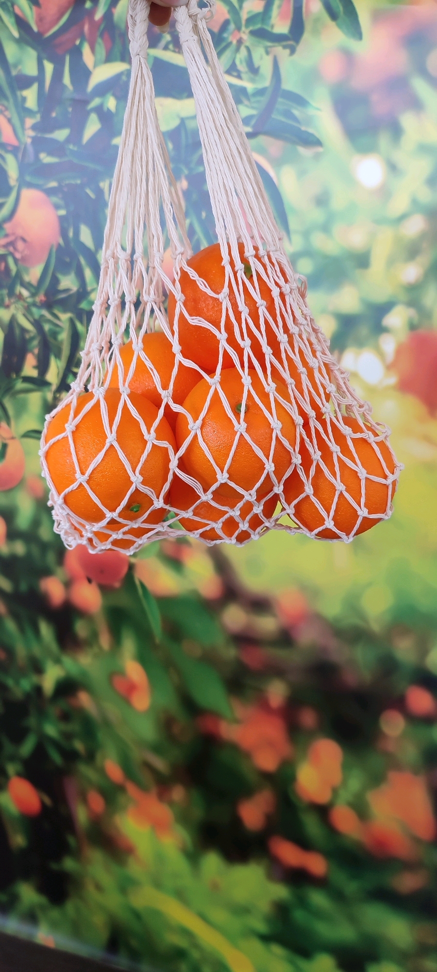 A still life image shows a mesh bag filled with tangerines, suspended against a blurred backdrop of greenery and orange fruits, possibly depicting a citrus grove. The bag is made of white, woven string, with its handles looped over something out of frame. The tangerines are round and bright orange, with some showing green stems. The background is a soft-focus, vibrant green with scattered orange orbs, creating an impressionistic effect. The lighting appears to be natural, highlighting the textures of the fruit and the woven net. There are no people or animals visible in the image. The scene evokes a sense of freshness and abundance.