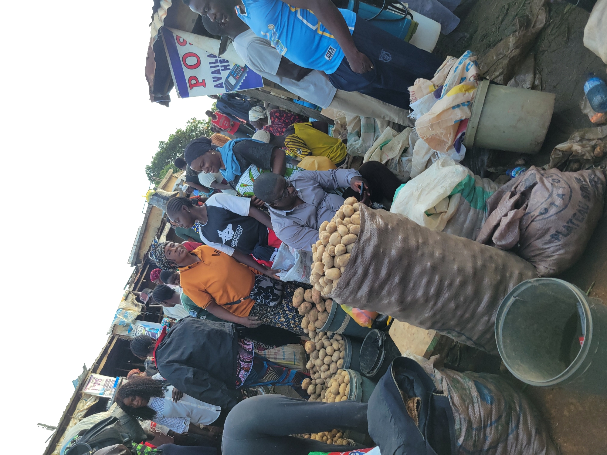The image depicts a bustling outdoor market scene in Gura Top, Nigeria. In the foreground, several large sacks and buckets are filled with potatoes, indicating a produce vendor. People are actively engaged in transactions or browsing, creating a lively atmosphere. A man in a gray shirt and glasses is looking at his phone while seated amongst the produce. Several individuals, including women in vibrant clothing and headscarves, and men in casual attire, are visible throughout the market. Some are carrying bags or interacting with each other. In the background, market stalls with corrugated metal roofs are visible, along with various goods and signage, including a "POS AVAILABLE" sign. The ground appears to be dirt or uneven terrain, typical of an open-air market. The overall impression is one of commerce and community activity within a Nigerian urban setting.