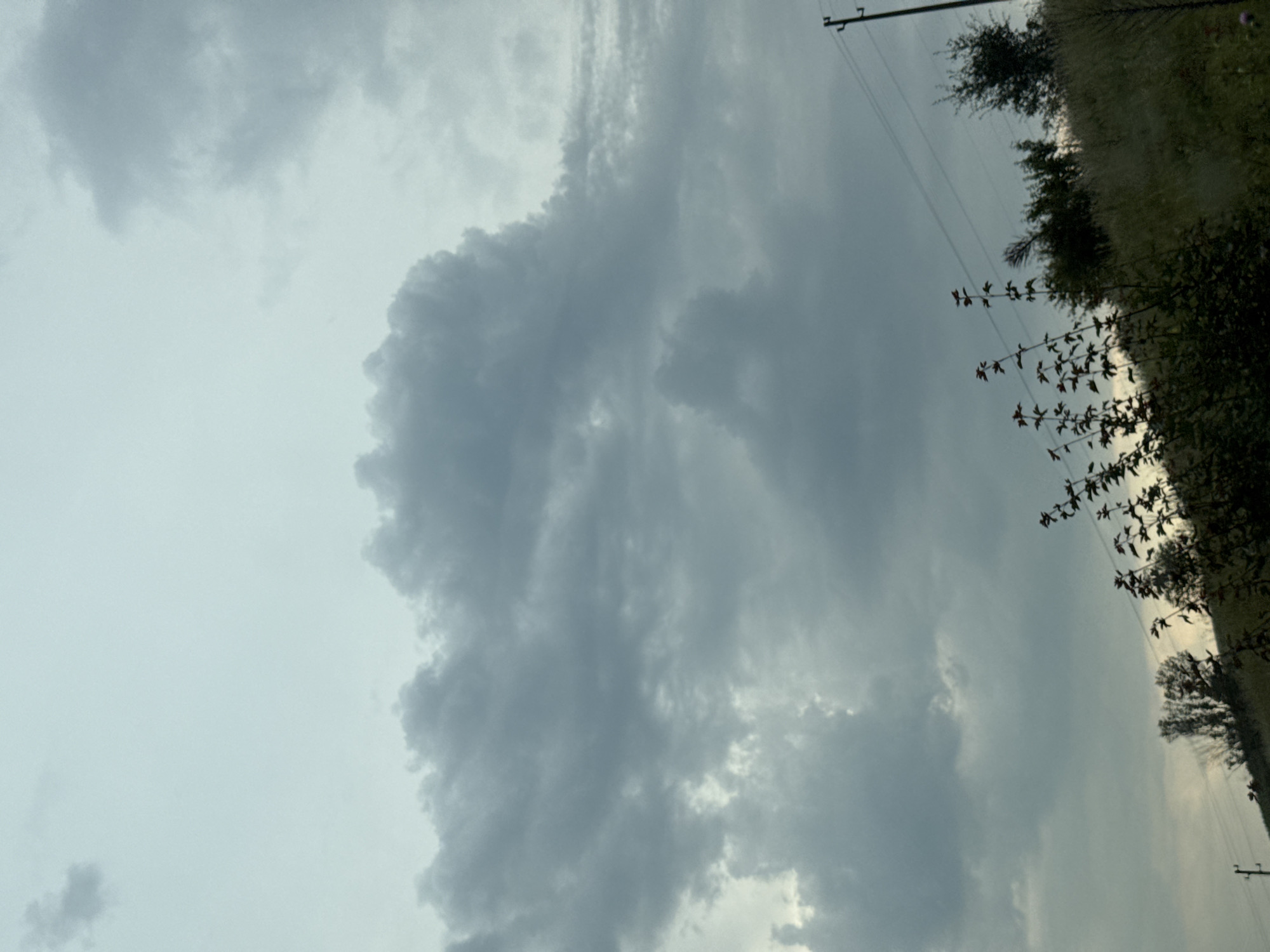 This media file is a photograph of a cloudy sky with a line of trees and vegetation on the right side, viewed from below. The image is oriented vertically, with the sky occupying the majority of the frame. Dark, dramatic clouds dominate the center and left of the image, with lighter, more wispy clouds towards the top. On the right, a dense line of trees and tall grass runs diagonally from top to bottom, creating a natural boundary. A single utility pole with wires is visible against the sky in the upper right portion of the image. The lighting suggests it might be late afternoon or early evening, with the overcast sky creating a muted, somewhat somber atmosphere. There are no people or specific objects of interest beyond the natural elements. The scene appears to be rural, likely in a natural or semi-natural setting, possibly a field bordering a wooded area. The colors are subdued, with shades of gray, white, and dark green.