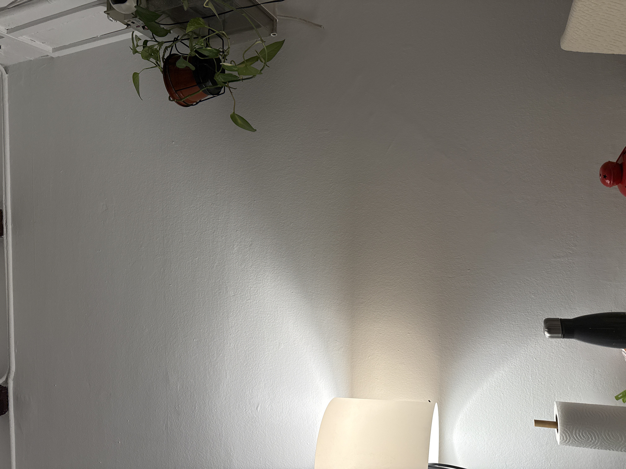 The image shows a portion of a room with light gray walls. In the upper left corner is a hanging plant in a brown pot. In the upper right corner, there is a white object and a red object. On the right side, there is a black bottle, a paper towel roll on a wooden holder, and the glow of a lamp. The lower center of the image features the lamp itself, which is white and has a curved shape. The location is not discernible from the image.