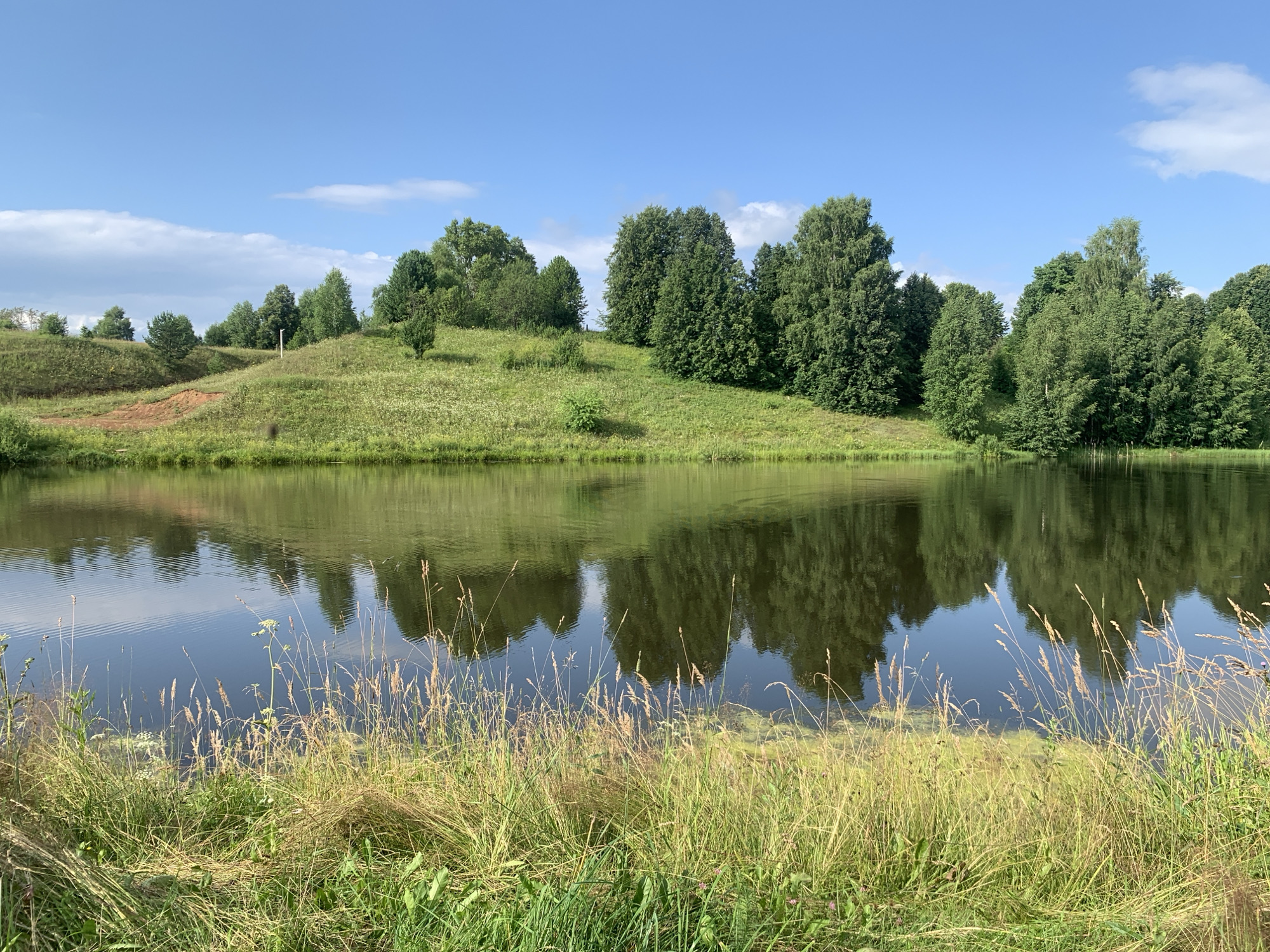 The image depicts a tranquil waterscape with a lush green hillside dotted with trees under a bright blue sky with scattered white clouds. In the foreground, a body of calm water reflects the trees and sky. The edge of the water is lined with tall grasses and some smaller plants. The hillside features rolling green slopes, with a dirt path visible on the left side. The trees are a mix of deciduous and coniferous varieties, creating a dense forest line along the top of the hill. The overall scene suggests a natural, undeveloped area, possibly a park or rural landscape. This specific scene is not identifiable as being in Zasechnyi, Russia.