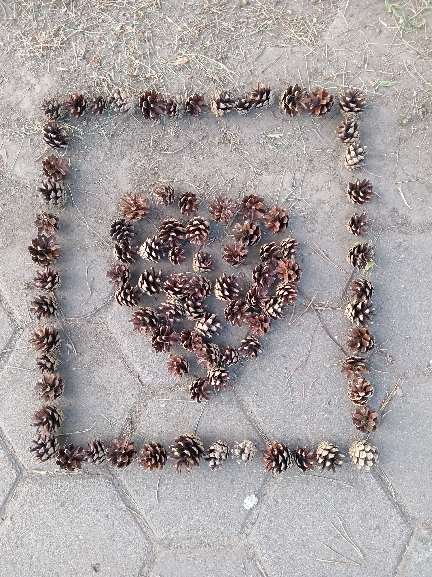 The image shows a square arrangement of pine cones on a paved surface, with a heart shape formed by pine cones inside the square. The ground outside the paved area is covered with dirt and dry grass. The location is the city of Rudny, Kazakhstan. There are no people or animals visible in the image. The lighting suggests it is daytime.