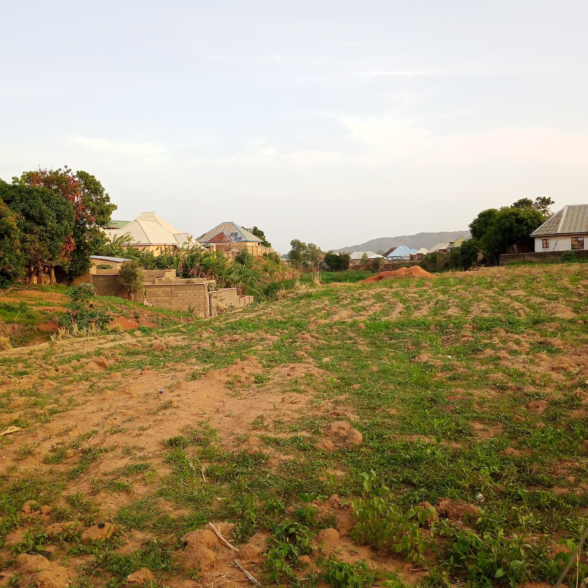 The image depicts a scene in Bukuru, Nigeria. The foreground is a field of dry, reddish-brown soil with sparse green vegetation. The field slopes gently upward towards the middle ground, where several unfinished concrete block structures are visible. Beyond these structures, there are residential buildings with corrugated metal roofs. Some of the roofs are painted in different colors. Trees are scattered throughout the scene, and a distant hill is visible in the background under a pale sky. No people are visible in the frame.