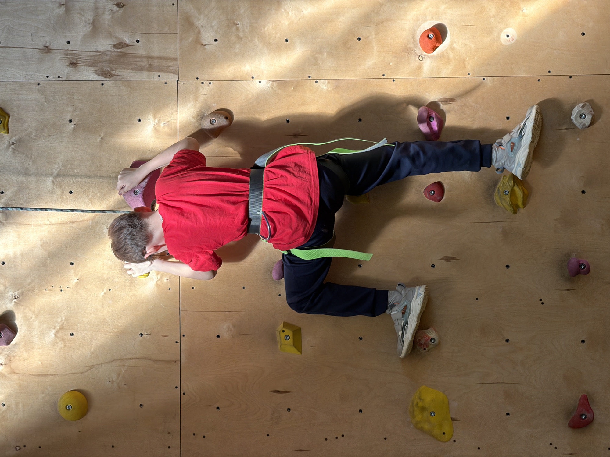 A young person is rock climbing on an indoor wall. The wall appears to be constructed from plywood panels and is studded with various colored climbing holds. The climber is wearing a red t-shirt, dark-colored pants, and athletic shoes. A climbing harness is secured around their waist. The climber has their hands and feet placed on various holds, suggesting an active climbing maneuver. The image contains lighting variances. The image was taken in Izhevsk, Russia.