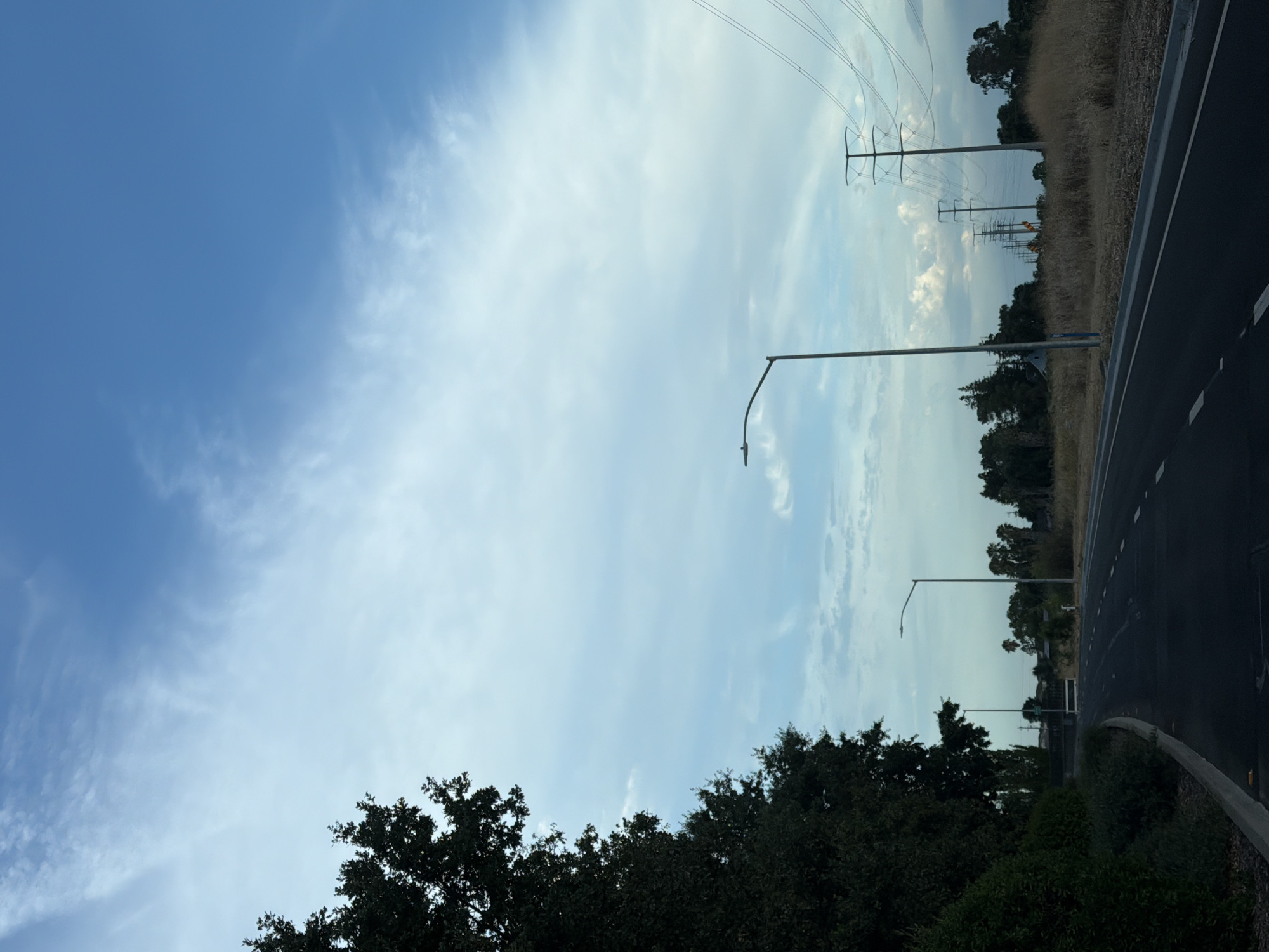 A semi-urban landscape is depicted under a vast, pale blue sky with thin, wispy clouds. A dark asphalt road curves to the right, bordered by a gray concrete curb and dry, brown grass. On the left, a large, dark green tree with dense foliage dominates the foreground. Several tall, grey streetlights are visible along the road, and in the distance, a series of utility poles with power lines march across the horizon. The environment suggests a semi-rural or suburban area on the outskirts of a city, possibly within Elk Grove, California, USA, given the characteristic dry vegetation and utility infrastructure often found in such regions. No people are present in the image.