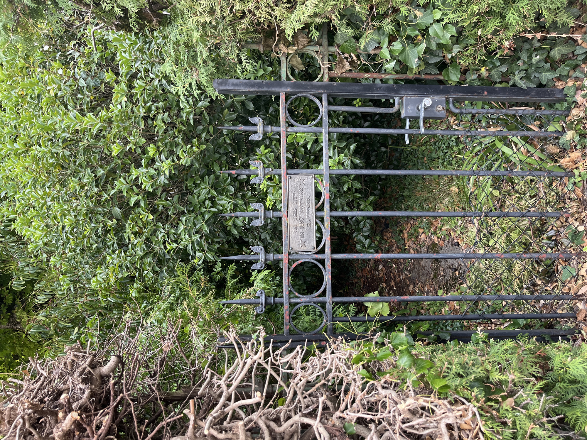 An unlocked, dark metal gate with ornate finials and circular motifs is partially obscured by overgrown foliage. A small plaque, attached to the gate, bears text that reads: "ON THIS SITE IN 1897 NOTHING HAPPENED." To the left of the gate, a thick tangle of dry, woody branches and ivy climbs over a fence. To the right, more dense green foliage, including conifer branches and ivy, also covers the gate and surrounding area. The ground beyond the gate is covered with fallen leaves and dry vegetation. The scene appears to be a garden or entryway in Montreux, Switzerland, though no specific landmarks or identifying features of the city are visible. There are no people or animals present.