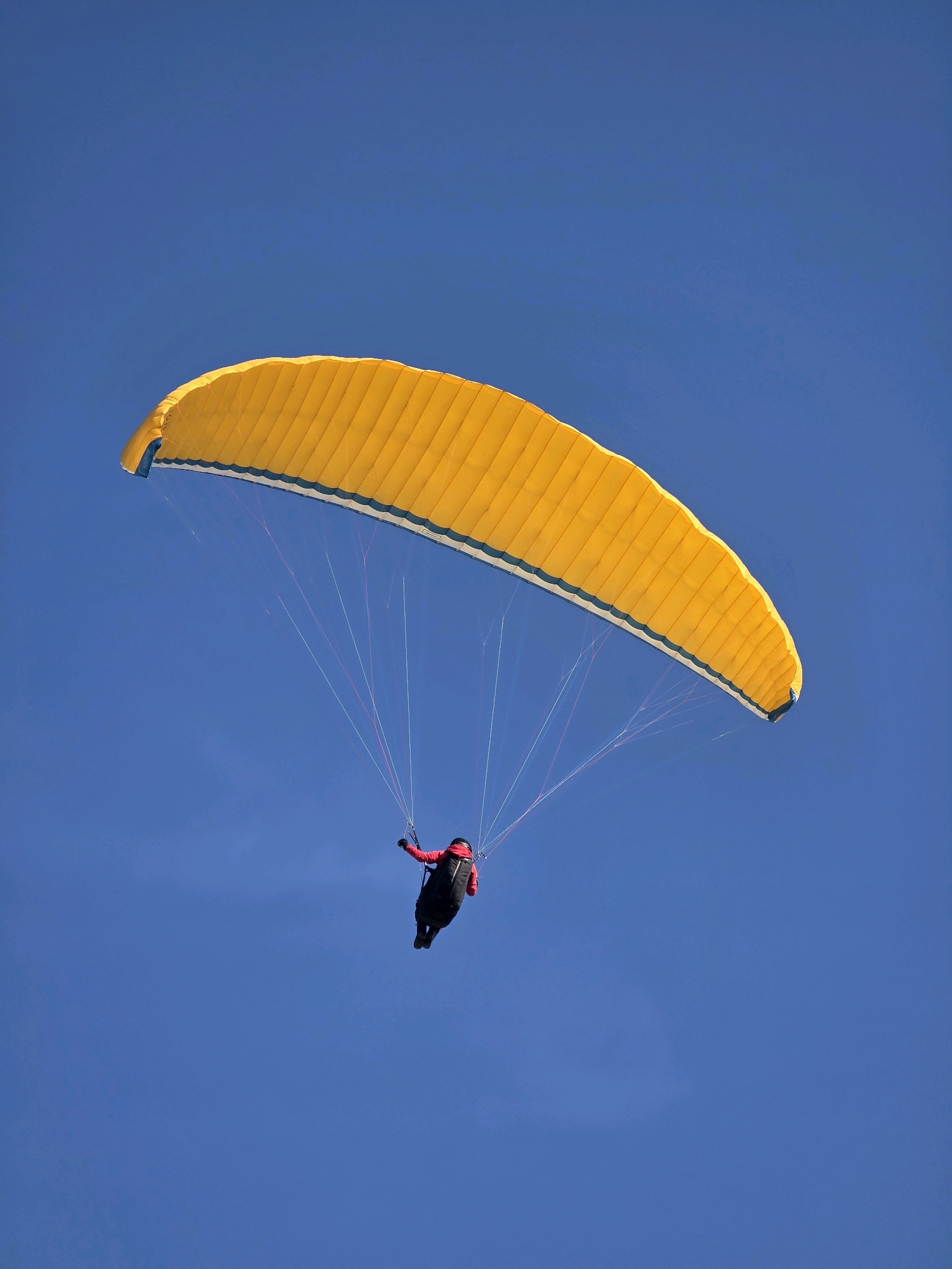 A paraglider with a yellow wing soars against a clear blue sky. The paraglider is a person wearing a red jacket and black pants, suspended beneath the wing by a harness and lines. The paraglider is positioned in the lower center of the frame, with the bright yellow wing filling the upper half of the image. The clear blue sky indicates fair weather conditions. The scene is photographed from a low angle, looking up at the paraglider. There are no discernible city landmarks or geographical features visible to indicate the location of Obrochishte, Bulgaria.