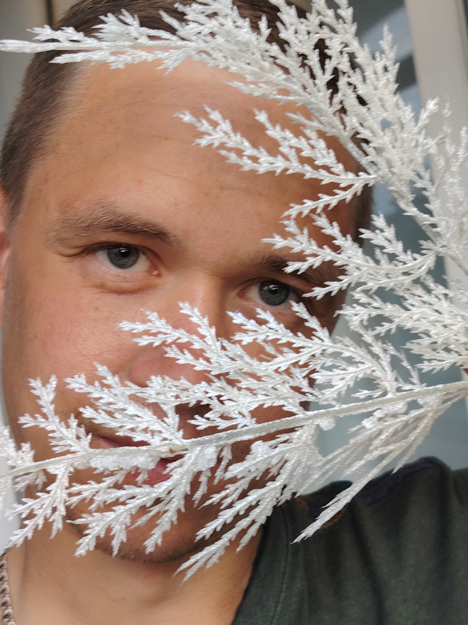 A close-up portrait captures a man with light skin, short brown hair, and blue eyes in Chaikovsky, Russia. He is positioned behind a prominent white, frosted artificial branch or piece of foliage that partially obscures his face. His eyes are visible through the gaps in the foliage, looking directly at the camera with a subtle, friendly smile. Parts of his forehead, nose, and mouth are covered by the intricate white branches, which have a delicate, fern-like texture, suggesting a winter or festive theme. He is wearing a dark green shirt, visible on the lower right side of the frame. The background is out of focus and appears to be a light, indistinct indoor setting. No specific time of day or weather conditions are discernible, and no text is visible in the image.
