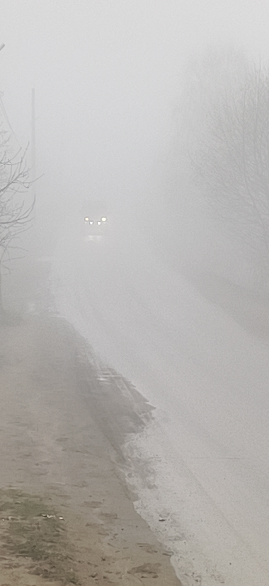 A foggy road in Фоки, Russia, obscures visibility. A vehicle approaches in the distance, its headlights dimly visible through the dense fog. The road surface is wet and appears to be bordered by vegetation. Bare trees are faintly visible on the right side of the road.