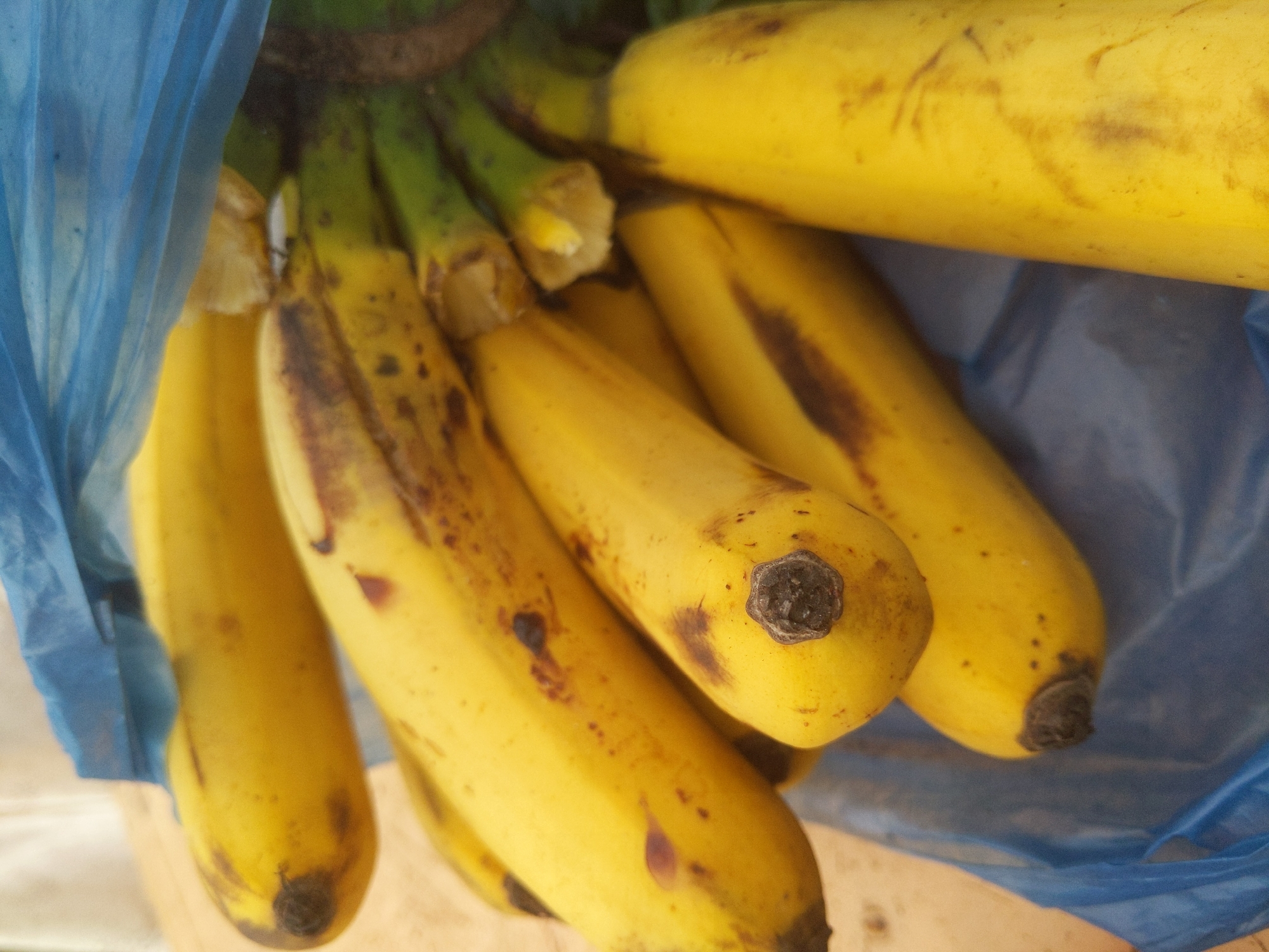 A bunch of yellow bananas, some with brown spots, are partially obscured by a blue plastic bag. The bananas are lying on a light-colored surface, possibly a table or counter, in what appears to be an indoor setting. The image is a close-up, focusing on the texture and color of the fruit and the plastic bag. There are no people or other significant objects visible. The scene is likely a simple still life. The image was taken in Peurupok, Indonesia.