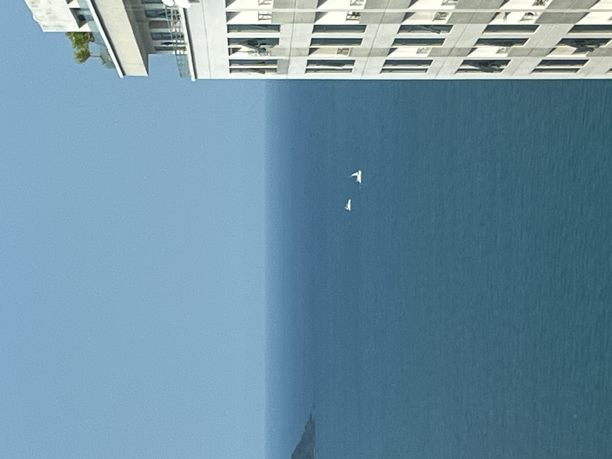 The image depicts a view from a high vantage point, possibly from a building in Bac Nha Trang Ward, Vietnam. The upper part of the frame shows a section of a modern, multi-story building with numerous windows. Below the building, a large expanse of water, likely the sea, fills most of the frame. Two white objects, possibly birds or small boats, are visible in the water. The sky above the water is a clear, light blue. A small landmass is visible at the bottom of the image.