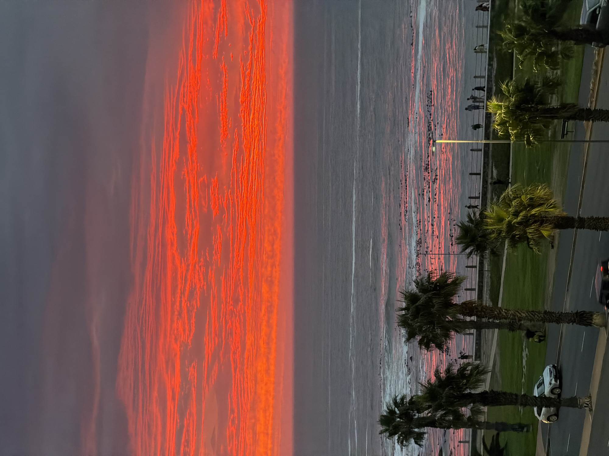 The image shows a beach scene at dusk in Cape Town, South Africa, with an emphasis on the sky and sea. The sky is dominated by a vivid orange sunset, streaked with cloud formations. The ocean reflects this color, creating a pinkish hue on the water's surface. A promenade runs along the beach, with a row of palm trees and a few people visible. A street with cars is seen alongside the promenade. A streetlight illuminates part of the promenade. The composition is taken from an elevated viewpoint.