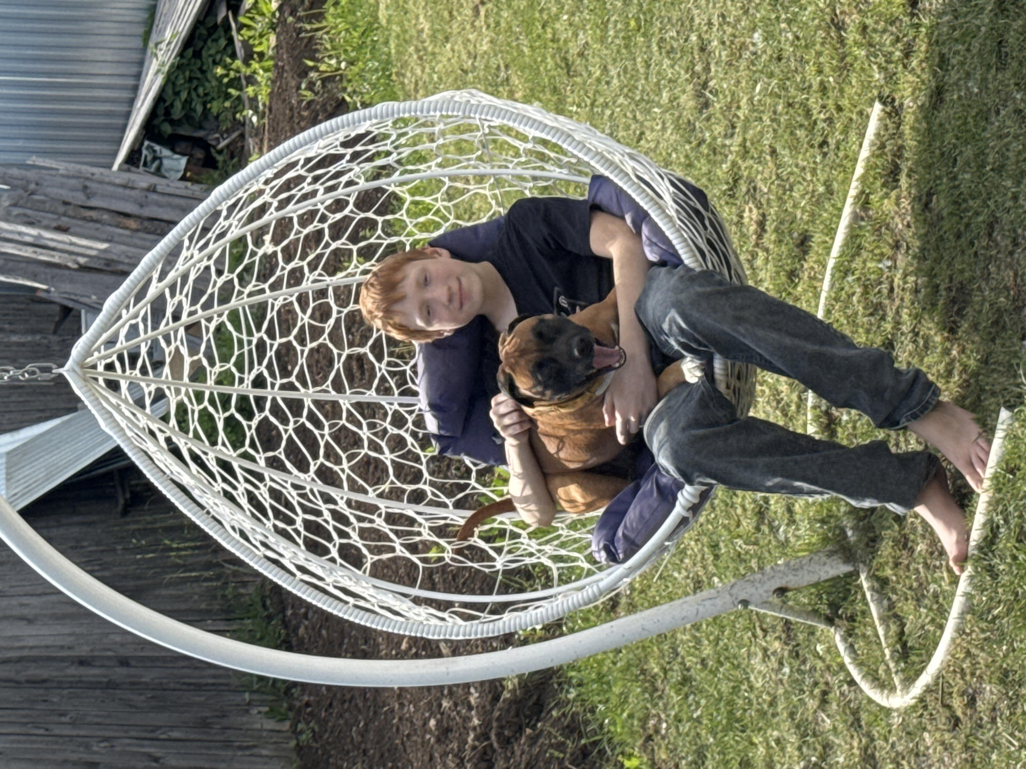 A pale-skinned, red-haired boy sits in a white, teardrop-shaped, rope-woven hanging chair, cradling a brown Boxer dog with its mouth open. The boy wears a dark t-shirt and dark jeans, and is barefoot. The chair is situated on a lawn in front of what appears to be a corrugated metal shed and wooden structures. The location is outdoors, with a patch of bare dirt and some greenery visible. The specific location is Chaikovsky, Russia. The interaction is between the boy and the dog, appearing to be a relaxed embrace.