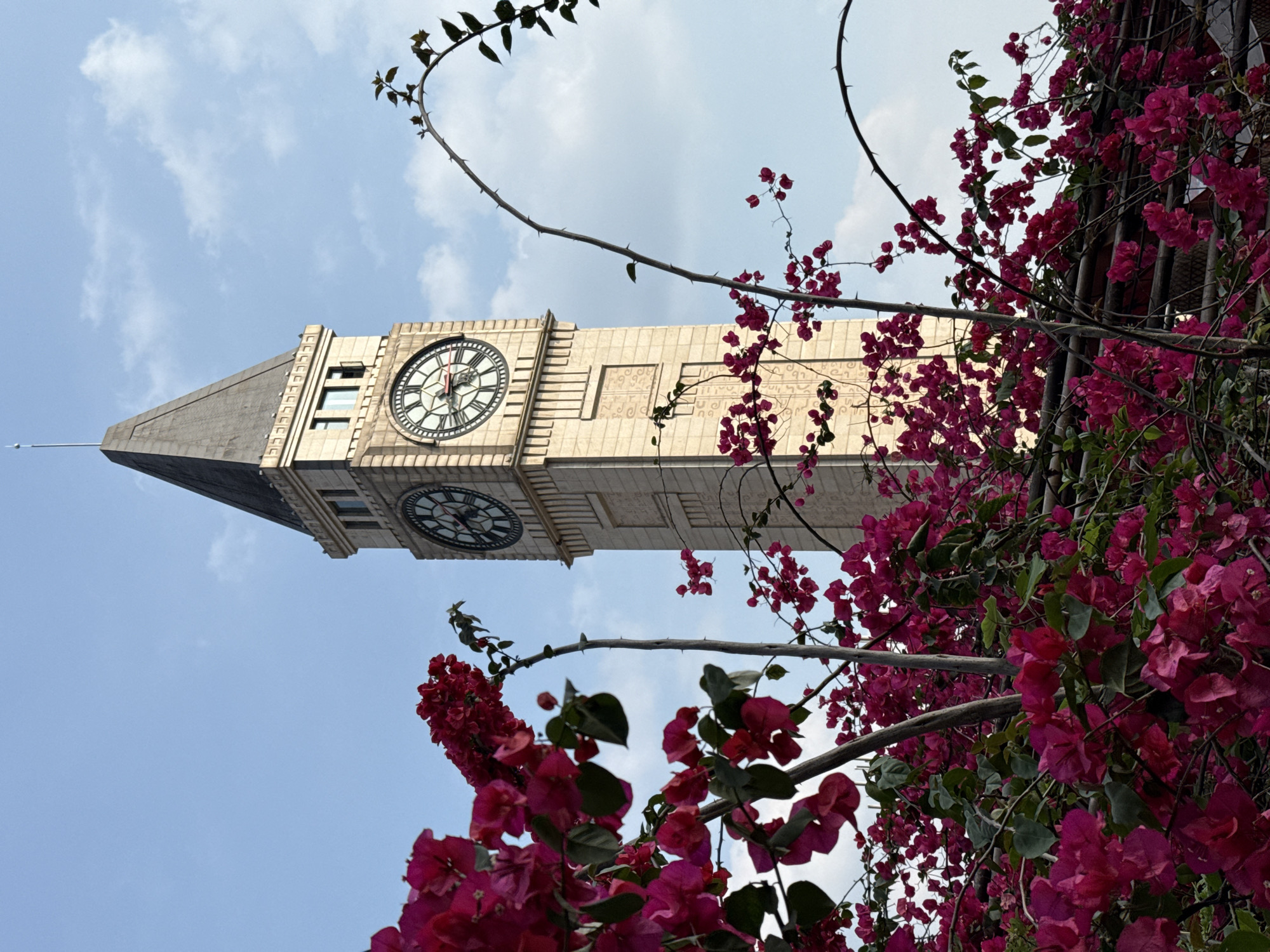 The image shows a low-angle view of a clock tower, possibly a landmark, partially framed by vibrant pink bougainvillea flowers in the foreground. The tower is constructed of beige stone with a conical roof and two visible clock faces. The sky behind the tower is light blue with scattered clouds. The flowers are positioned on the right and bottom left sides of the frame, contrasting with the tower. The location is potentially in Nan'an District, China.