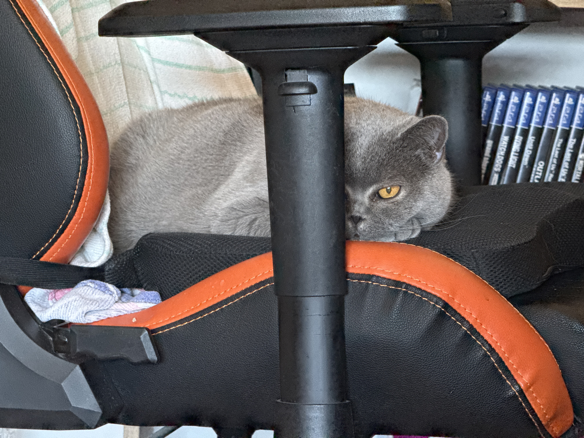 A gray cat with yellow eyes rests on a black and orange gaming chair. The chair is positioned near a stack of video game cases. The location cannot be determined from the provided image.