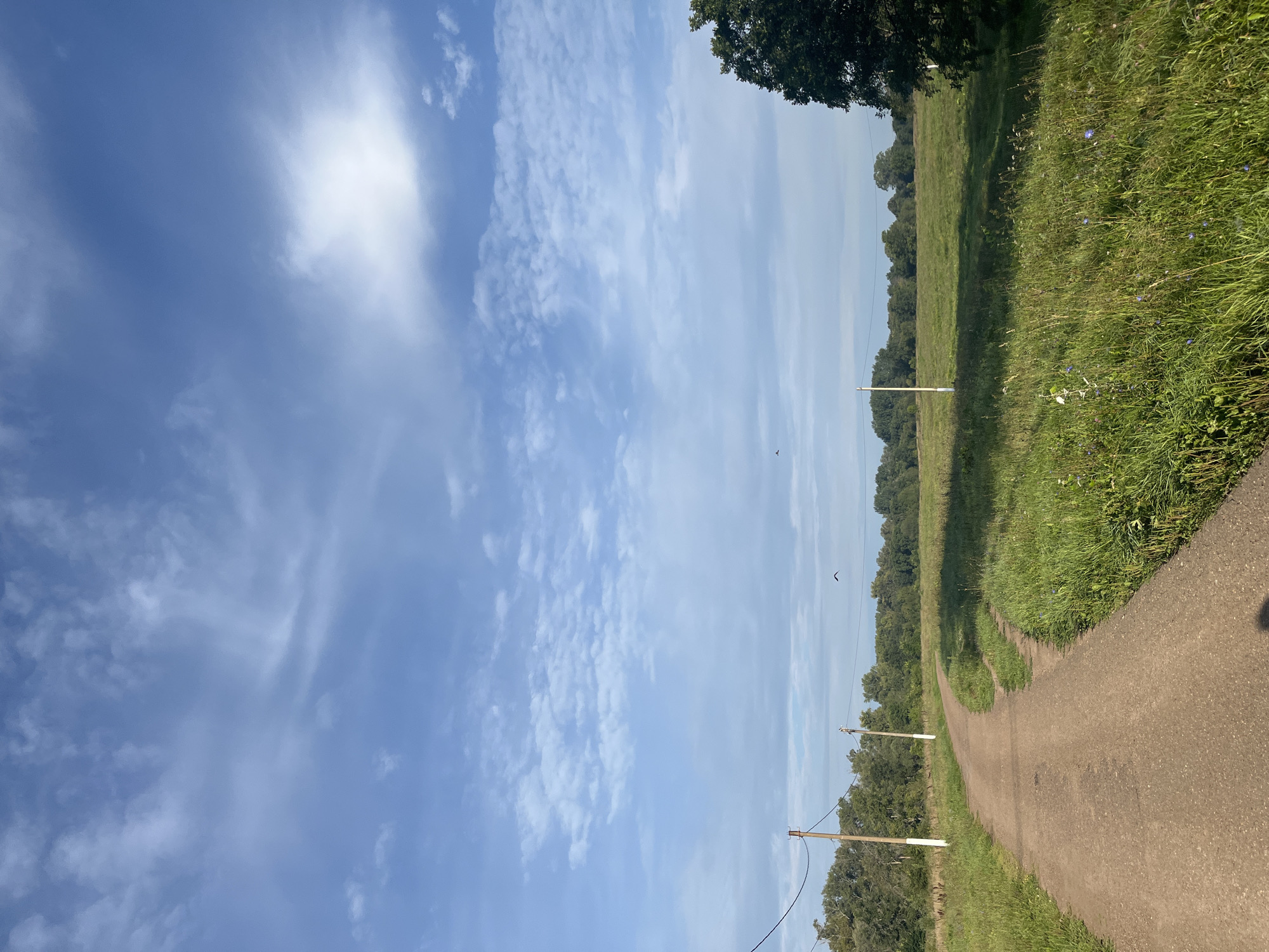The image depicts a rural landscape under a partly cloudy sky. A dirt road curves from the foreground into a field dotted with green grass and wildflowers. Trees line the horizon, forming a dense green backdrop. Several utility poles with wires are visible, suggesting the presence of infrastructure in the area. Two birds are in flight against the expansive sky. The scene is illuminated by natural daylight, casting shadows across the field. The location is identified as Ufa, Russia.