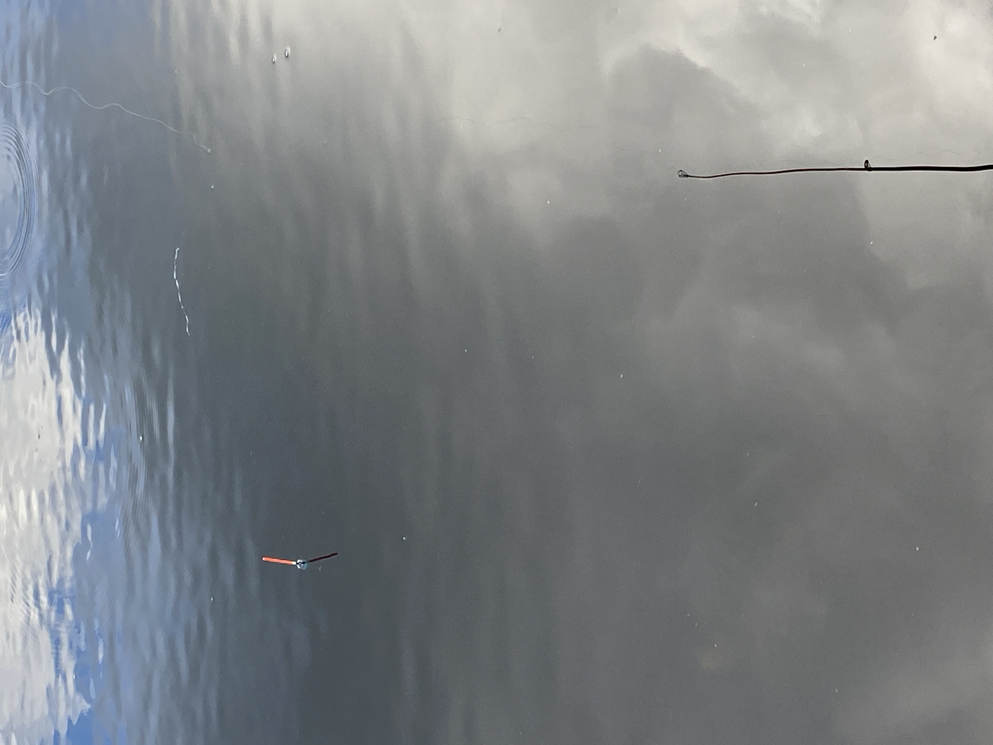 The image shows a close-up view of a body of water, possibly a lake or pond, reflecting the sky. The water's surface is rippled, with the reflection of clouds creating a mottled pattern of light and dark gray. In the foreground, a fishing line with a red and white bobber is visible, partially submerged in the water. The bobber is tilted, indicating tension on the line. Further in the background, a thin, dark object, possibly the tip of a fishing rod, is also visible, extending vertically from the water's surface. Small bubbles are scattered across the water. The overall impression is one of a calm, outdoor setting, likely used for fishing. There are no people visible in the image. The location is identified as Авиатор Снт, Russia, suggesting a semi-rural or dacha community setting.