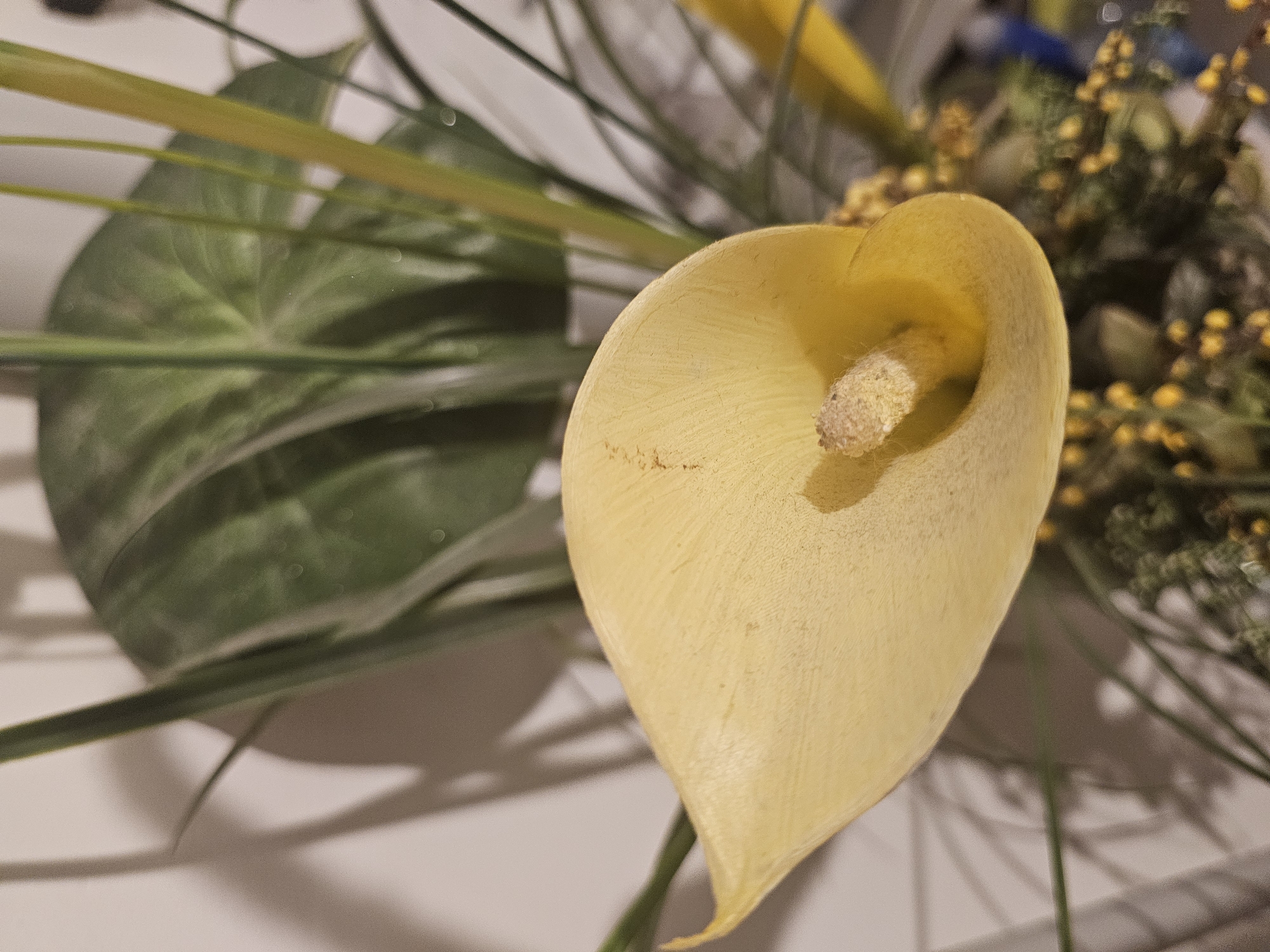 An artificial yellow calla lily, positioned in the center of the frame, is the primary subject of the image. The flower's smooth, matte texture is evident, with subtle variations in shade across its curved spathe. A creamy-white spadix emerges from the flower's throat. Behind the calla lily, the blurred forms of green leaves and thin, stem-like structures suggest a larger floral arrangement or plant. The background is a plain, light-colored wall, against which shadows from the foliage are cast. The overall lighting is dim, with the focus on the calla lily, suggesting an indoor setting with artificial light.