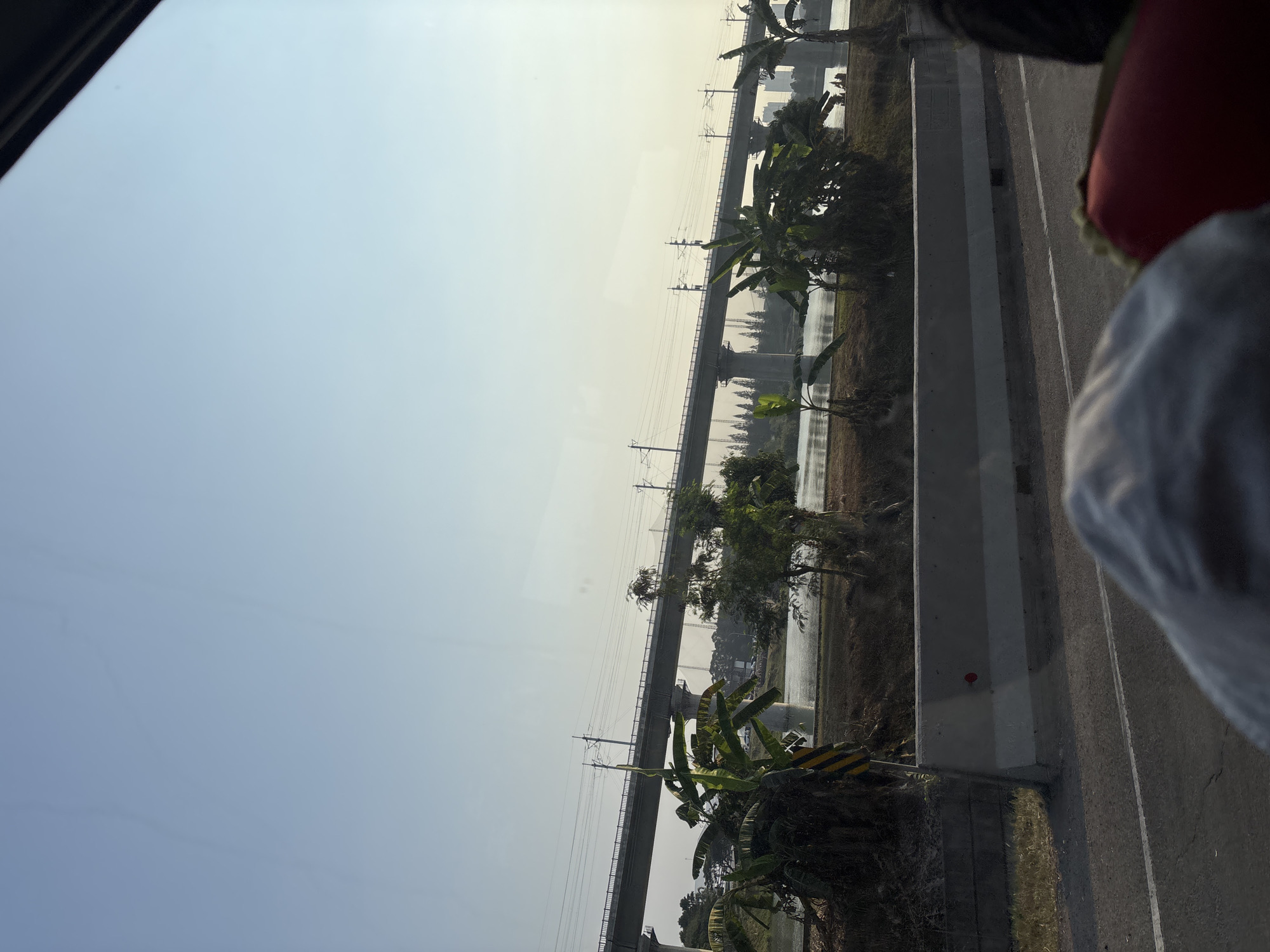 An elevated roadway with electrical wires runs across a body of water, with tropical vegetation in the foreground. The sky is a pale blue, and the sun appears to be low on the horizon, casting a soft light on the scene. The roadway is supported by large concrete pillars, and there are utility poles with wires running along its length. The vegetation consists of banana trees and other leafy plants. In the foreground, a concrete barrier separates the road from a grassy embankment. The image was taken from inside a vehicle, as evidenced by the reflection on the window. The scene appears to be on the outskirts of a city, possibly Hegarmukti, Indonesia, given the tropical flora and the presence of extensive infrastructure.