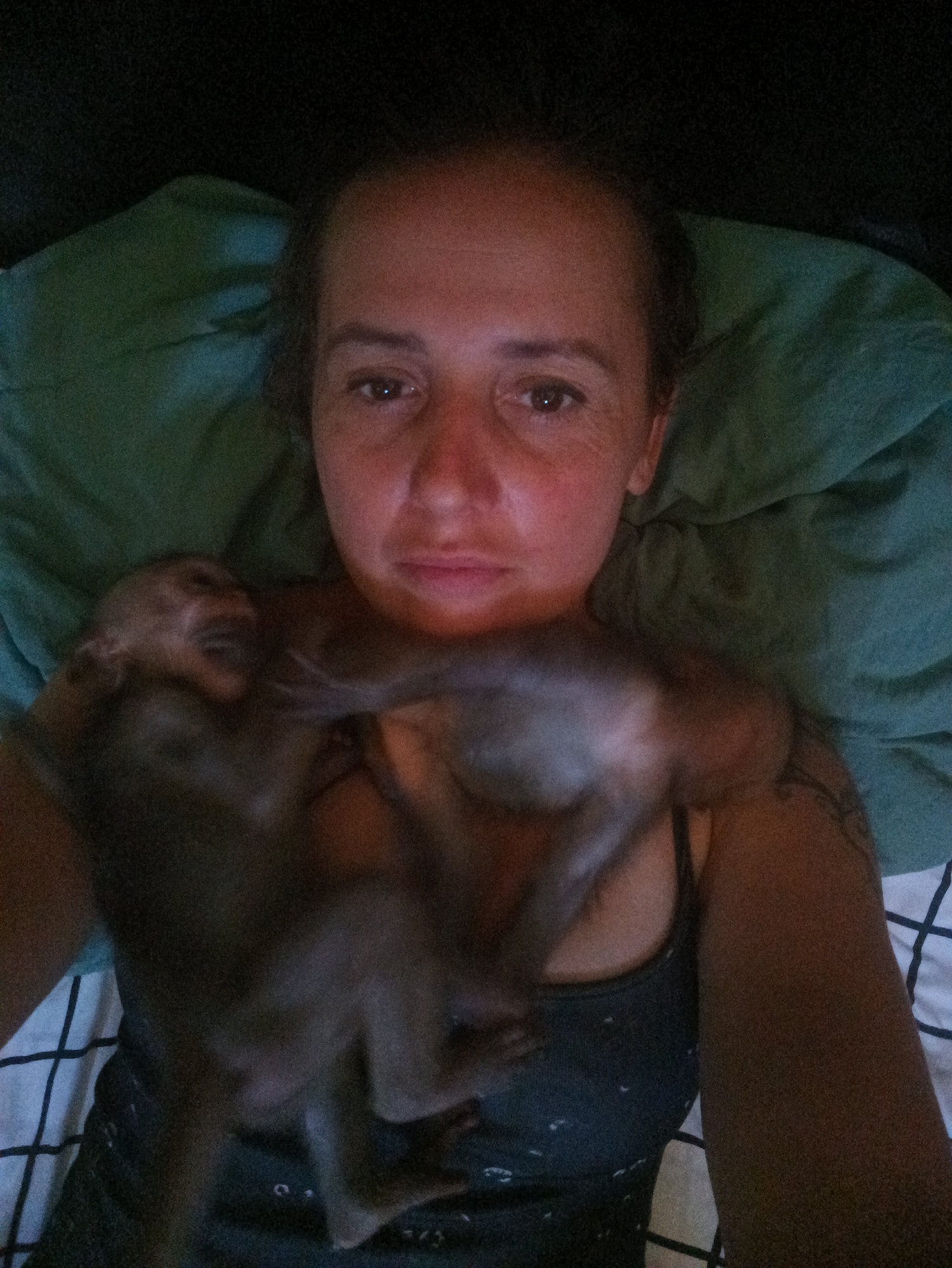 A medium-angle, blurred, close-up shot depicts a woman lying down with two monkeys on her chest. She has light skin and is wearing a tank top. A tattoo is visible on her left arm. The background consists of a green pillow and a black and white patterned sheet. The location is unknown.