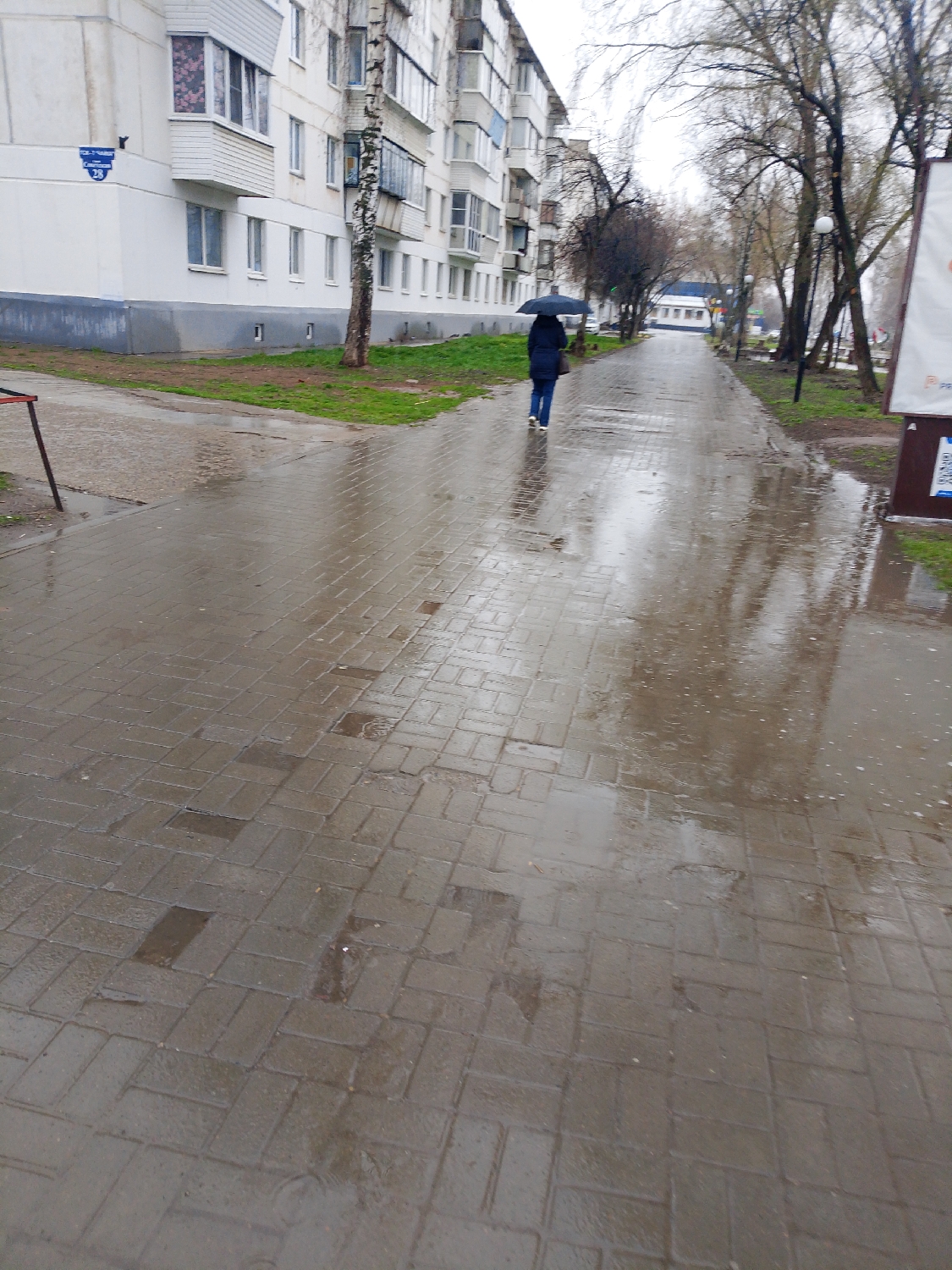 This media file depicts an outdoor street scene in Chaikovsky, Russia, on a wet, overcast day. The central subject is a person, seen from behind, walking away from the viewer along a brick-paved sidewalk. They are holding a black umbrella, indicating rain or recent precipitation.
The sidewalk is extensively wet, covered in puddles and reflective surfaces, particularly in the foreground. To the left, a multi-story apartment building, characterized by its white facade, numerous windows, and enclosed balconies, dominates the background. A tall birch tree stands prominently beside the building. On the corner of the apartment building, a blue street sign is clearly visible, displaying "ул. Чайковского 28" (Chaikovsky Street 28), confirming the location.
To the right of the sidewalk, a line of bare trees, likely deciduous, suggests either late autumn or early spring. Further down the path, more buildings and lampposts are visible. Green grass patches line both sides of the sidewalk. The sky is uniformly gray and overcast, contributing to a subdued and damp atmosphere. No specific emotions are discernible. A partial sign with a QR code and indistinct text is visible on the far right.