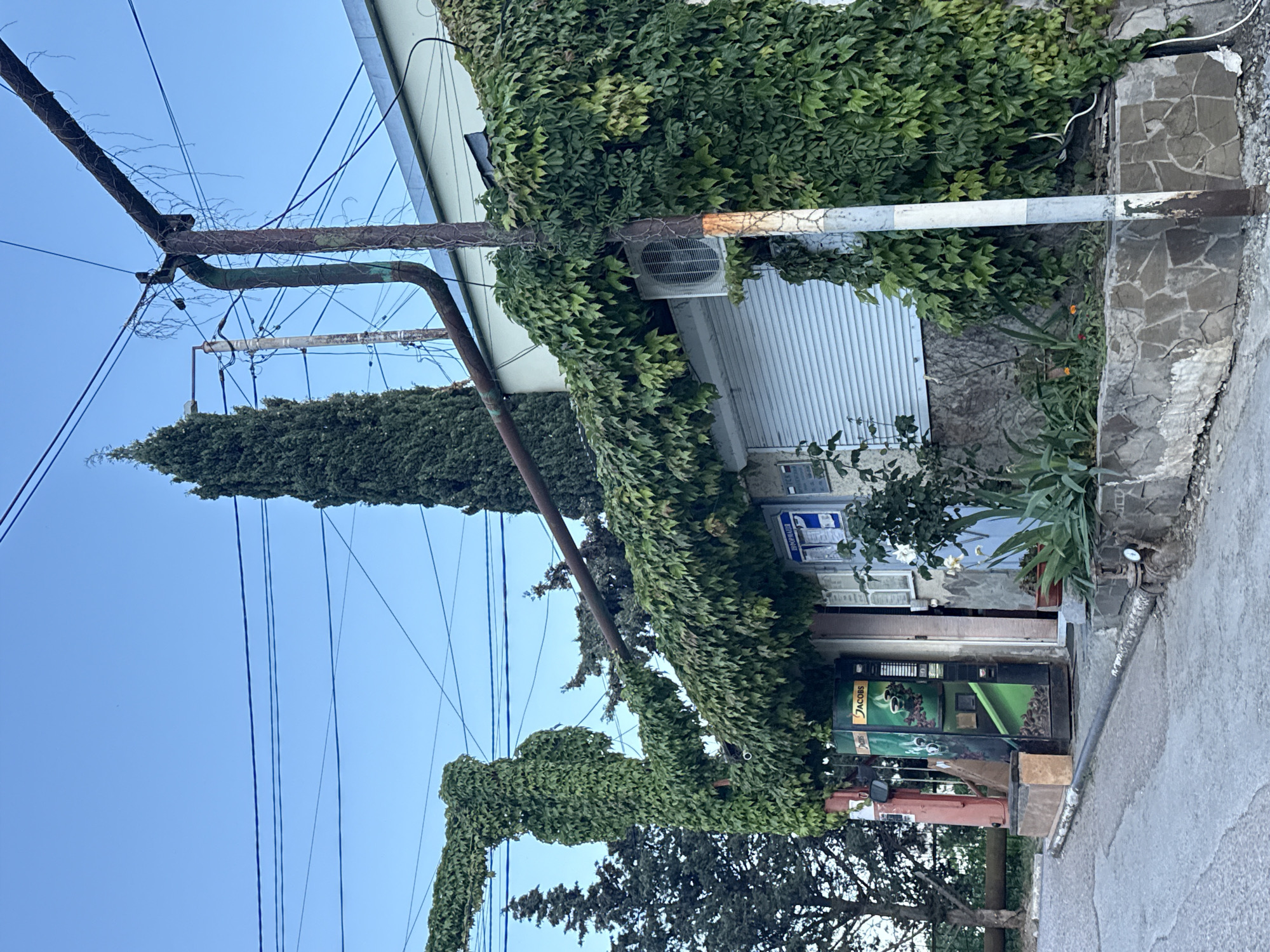 The image shows a building in an urban setting, possibly a street scene in Unknown, Unknown. The building is partially covered with dense green ivy, obscuring parts of its facade. An air conditioning unit is visible mounted on the building's exterior. A metal utility pole with wires is positioned nearby, with more ivy climbing up its structure. A vending machine, branded "Jacobs", stands outside the building. The sidewalk and street are visible, suggesting an outdoor public space. The sky is clear blue.