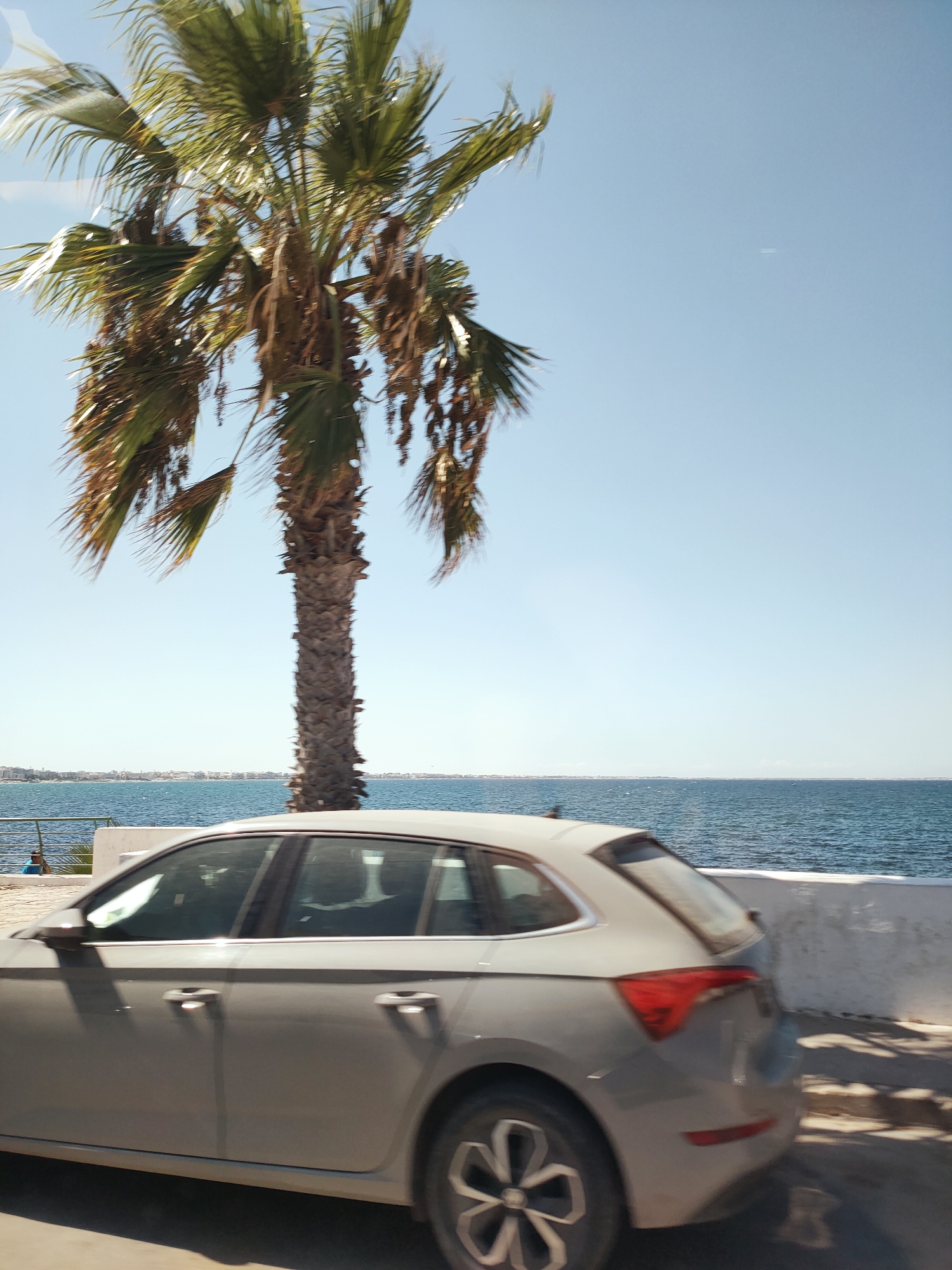 A car is driving along a road next to the Mediterranean Sea in Mahdia, Tunisia. A tall palm tree with brown fronds is on the left side of the image. The car is light grey and in motion, as indicated by the blur. The sea is a deep blue, and a distant coastline with buildings can be seen. The sky is clear and light blue. A white wall runs along the edge of the road next to the sea.