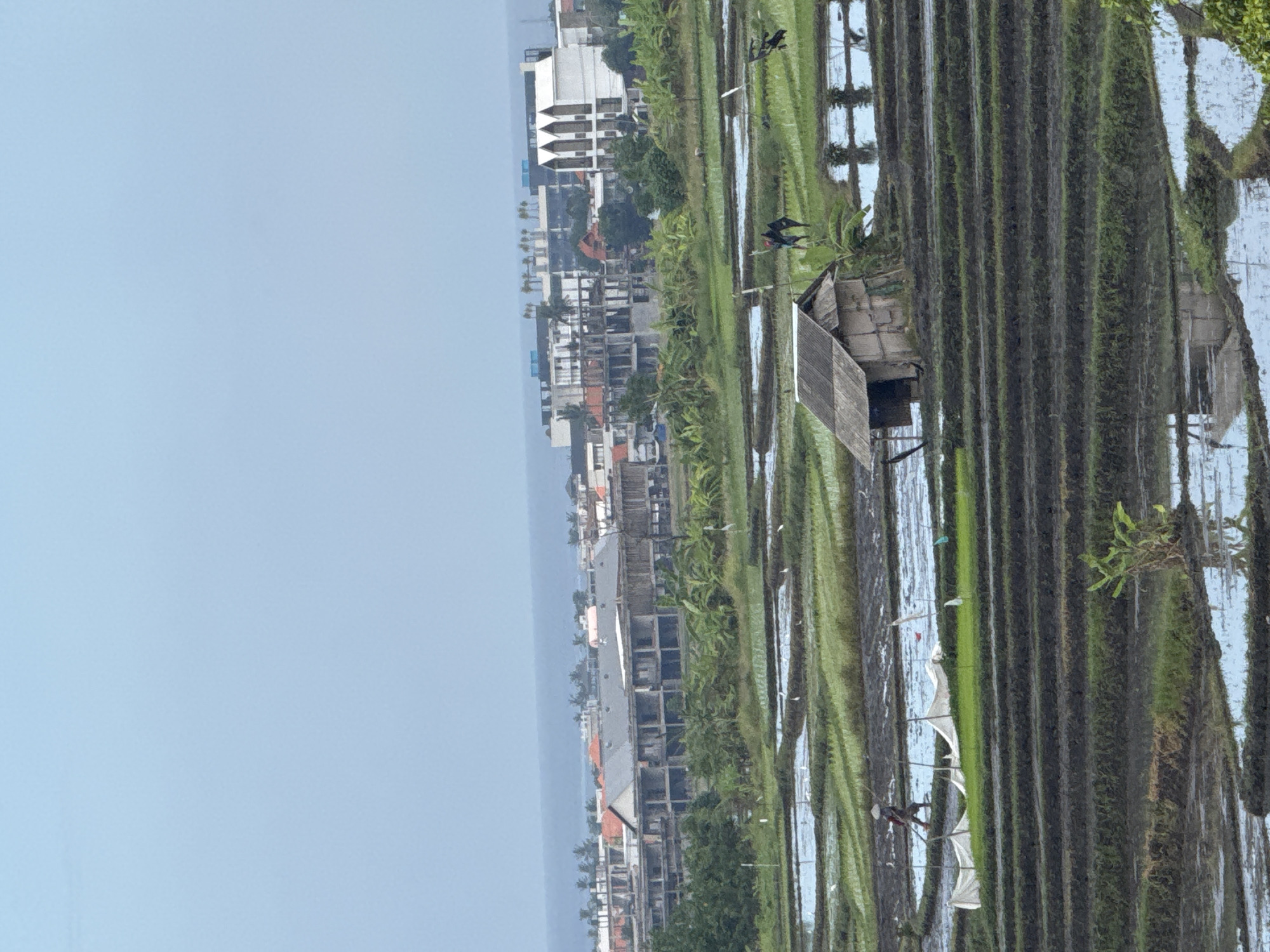 An outdoor, elevated, eye-level shot displays a hazy, distant view of an ocean under a pale blue, overcast sky. The middle ground features an array of terraced rice fields with dark soil and shallow water. In the upper part of the middle ground, a cluster of unfinished buildings, some with visible concrete structures and scaffolding, sit between the rice fields and the ocean. Among the rice paddies, a small, dilapidated wooden hut with a corrugated roof is visible in the lower middle ground. Several figures are present in the rice fields: one individual in the middle left is walking with a tool, and two figures are near the hut. In the upper right of the rice fields, two more figures can be seen. The foreground is dominated by more terraced rice fields.