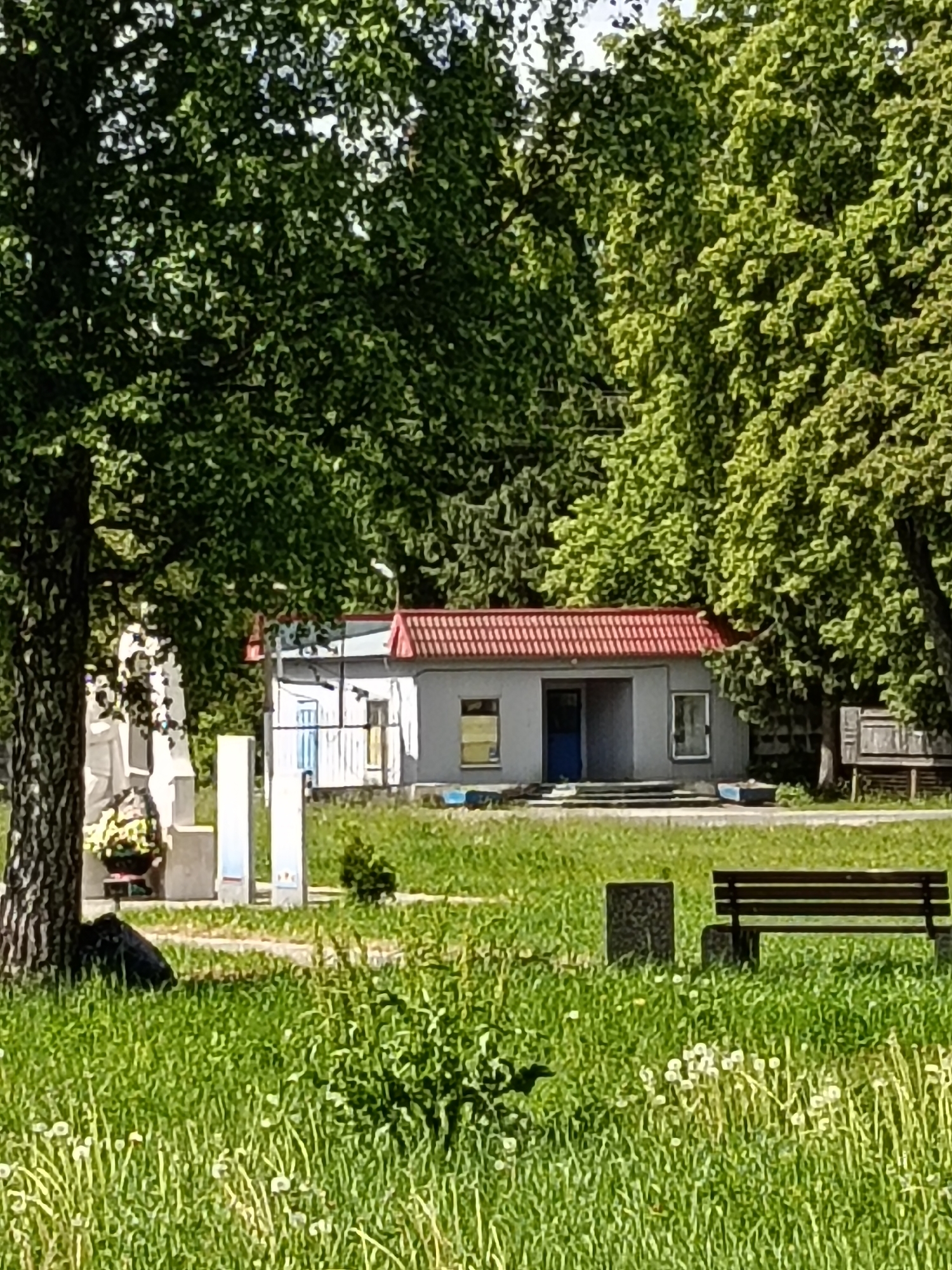 The image captures a peaceful outdoor scene in what appears to be a park or public green space in Красный Маяк, Russia, on a bright, sunny day. The dominant color is vibrant green from the lush grass in the foreground and the dense foliage of numerous deciduous trees that frame the scene and fill the background.
In the middle ground, a small, single-story building with light-colored walls and a distinctive red tiled roof stands out. It features a prominent blue door in the center, flanked by at least two windows. Steps lead up to the building's entrance.
To the left of the building, partially obscured by a tree trunk, are several light-colored monuments or steles, suggesting a memorial site. A wreath or floral arrangement is visible at the base of one of these structures, indicating a recent act of remembrance.
On the right side of the foreground, a wooden slatted park bench with concrete supports is placed beside a dark, square concrete object, possibly a trash receptacle or bollard. Scattered white, dandelion-like flowers dot the green grass in the foreground.
No people are visible, contributing to the quiet and serene atmosphere of the scene. The clear lighting and lack of clouds suggest fine weather. There is no visible text.