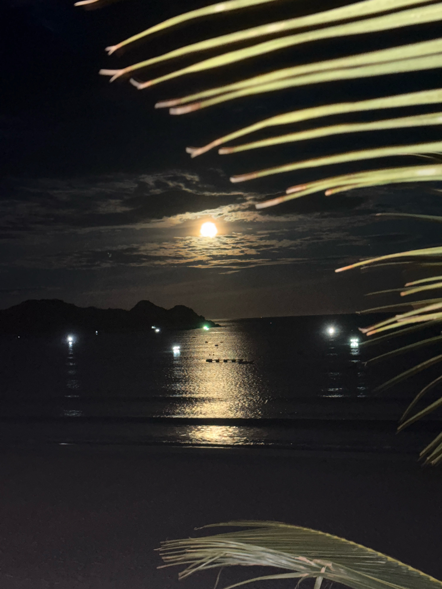 An outdoor, nighttime scene depicts a tranquil beach with the moon and calm ocean. The moon is full and bright, casting a shimmering reflection on the water's surface. The ocean is dark and appears still, with small waves lapping at the shore. In the distance, a silhouetted island with hills is visible, dotted with a few faint lights, possibly from boats or coastal structures. Palm fronds are in the foreground, partially obscuring the view and adding a tropical feel to the scene. The overall atmosphere is serene and peaceful.