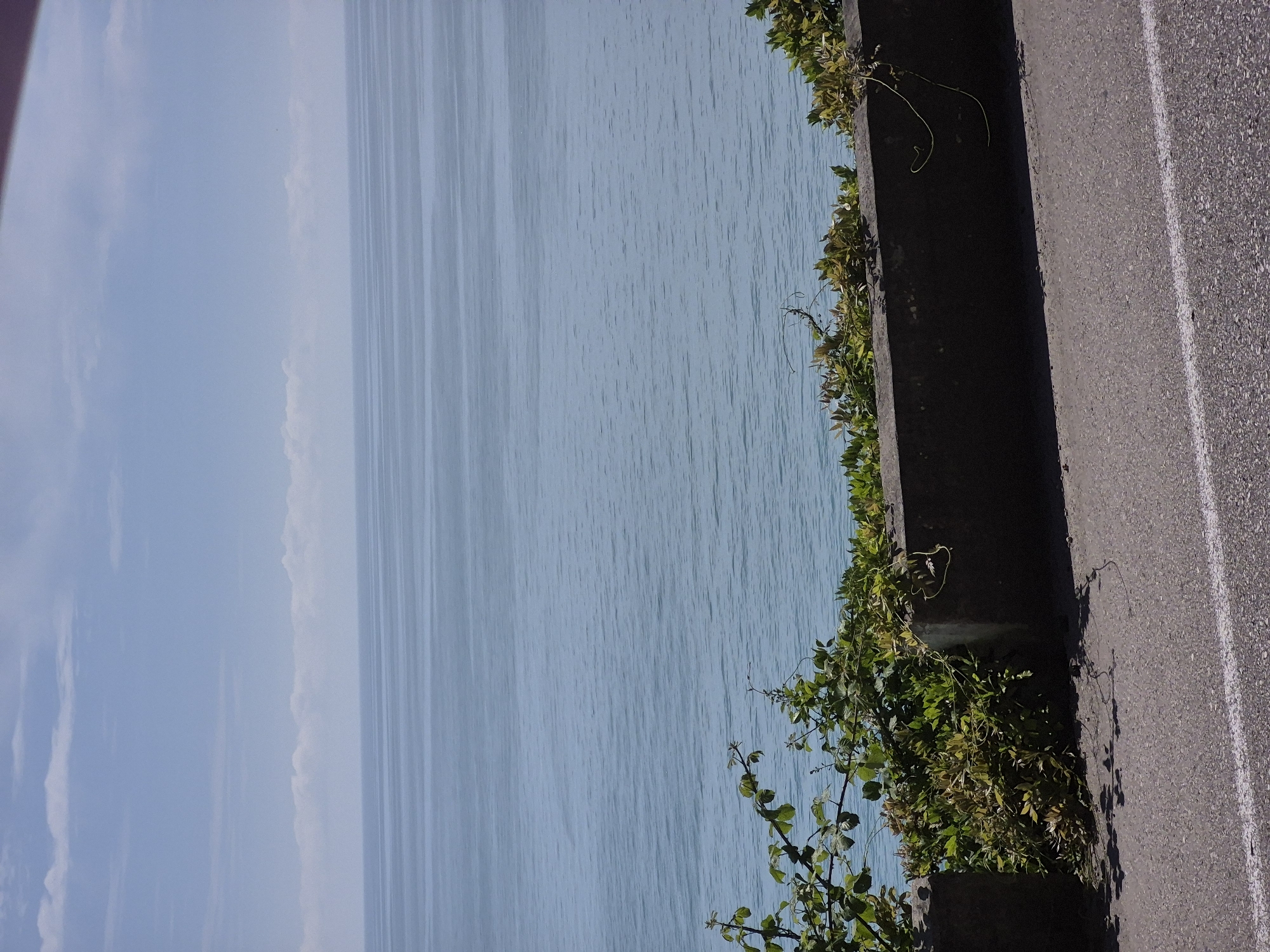 The image depicts a body of water, likely a lake or sea, with a textured asphalt road running alongside it. The water appears calm, with subtle ripples creating a pattern of light and shadow. On the right side of the image, a dark-colored concrete barrier separates the road from the water. Green foliage, possibly ivy or vines, is growing over the barrier and spilling towards the water's edge, adding a touch of natural beauty to the scene. The road itself is a medium gray color with a white line marking its edge, suggesting it's a designated pathway.
The sky above is a pale blue with wispy white clouds, indicating fair weather. The lighting suggests it is daytime, likely late morning or early afternoon, given the angle of the shadows. There are no people or specific objects clearly visible, making it a landscape-focused shot. The overall mood of the image is peaceful and serene, with the combination of water, greenery, and the road creating a sense of a quiet, possibly scenic, location.
While the prompt specifies Yerevan, Armenia as the location context, there are no specific visual cues within the image itself that confirm this. The scene is generic enough to be found in many coastal or lakeside areas. No text is visible in the image.