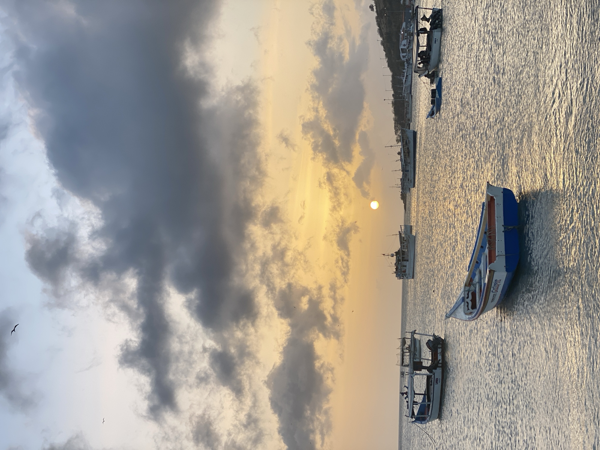 The image depicts a sunset over the water in Juan Griego, Venezuela. Dark storm clouds fill the upper left quadrant of the sky, contrasting with the bright yellow sunset to the right. Several small fishing boats are visible on the water. There is a rocky shoreline in the distance. Birds fly in the sky. The water surface is reflective.