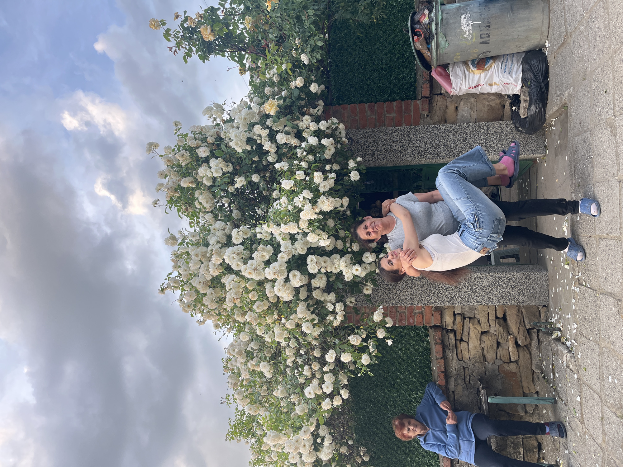 The image, correctly oriented, captures three women in an outdoor setting in Lozarevo, Bulgaria. A large, vibrant climbing rose bush laden with numerous white and pale yellow blossoms dominates the left side of the frame, with white petals scattered across the paved ground in the foreground.
Two younger women are positioned on a low stone and concrete wall to the right of the rose bush. They are embracing and smiling at the camera, suggesting a warm, affectionate moment. One woman wears a grey t-shirt, blue jeans, and pink slippers, while the other, leaning against her, is dressed in a white tank top, light blue jeans over black pants, and blue slippers.
In the lower right, an older woman stands, also looking towards the camera. She is wearing a blue zip-up hoodie, black pants, and grey and red slippers or sneakers.
The background includes a green hedge and a stone brick wall. In the upper right, a rusted metal trash bin is visible, overflowing with garbage, including black bags and a white bag featuring Cyrillic text, specifically "МЕЛКРИМ" and "ПЪРЗАЛЯ ВИНАГИ". Another green metal trash bin is partially obscured. The sky is overcast and cloudy, indicating daytime. The scene appears to be a casual family gathering within a lush garden or yard.