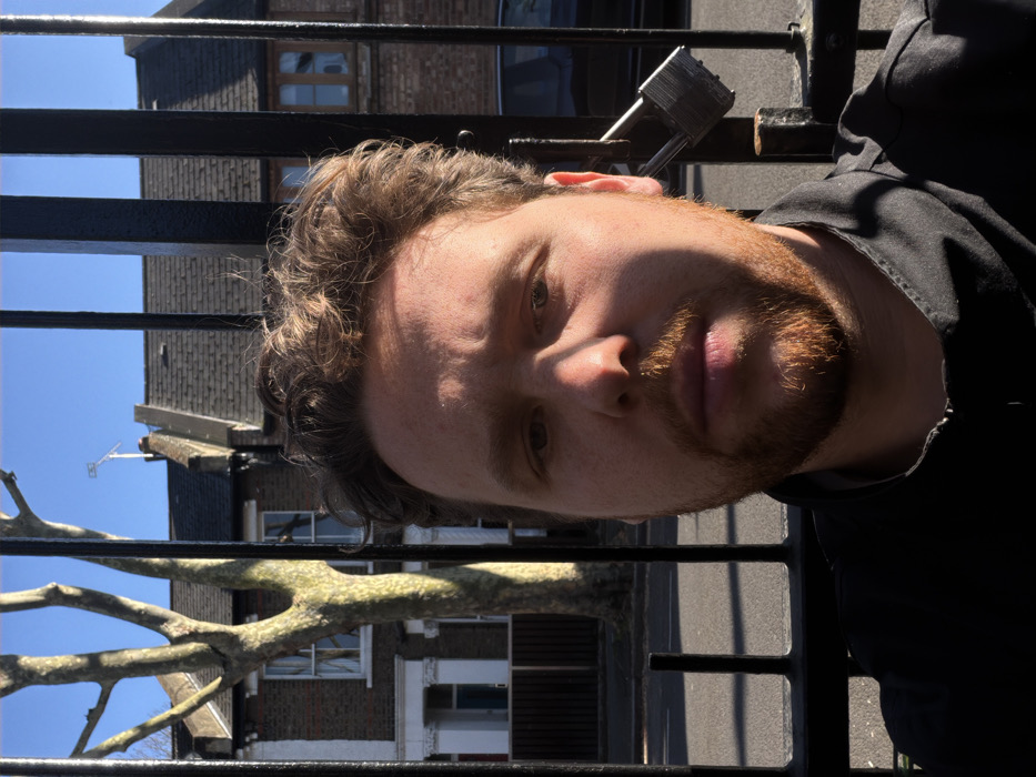 A male individual is depicted in a close-up, chest-up portrait, positioned directly in front of a black metal gate composed of vertical bars. He has light skin, curly light-brown hair, and a reddish-brown beard and mustache, wearing a dark, zippered jacket. Strong sunlight illuminates the right side of his face and torso, casting the left side into shadow. His gaze is directed towards the camera. A silver padlock is visibly attached to a vertical bar of the gate to the viewer's right of the subject's head.
In the background, visible through the gate, is a residential street scene characteristic of architecture found in London, United Kingdom, under a clear blue sky. On the left, a large, bare-branched tree with light-colored bark stands on the roadside. Behind the street, a row of terraced houses with brick facades and dark roofs is present. The leftmost visible house has a white ground floor section and a dark fence. A dark-colored vehicle is parked on the street to the right. A television antenna is mounted on the roof of one of the houses on the right.
