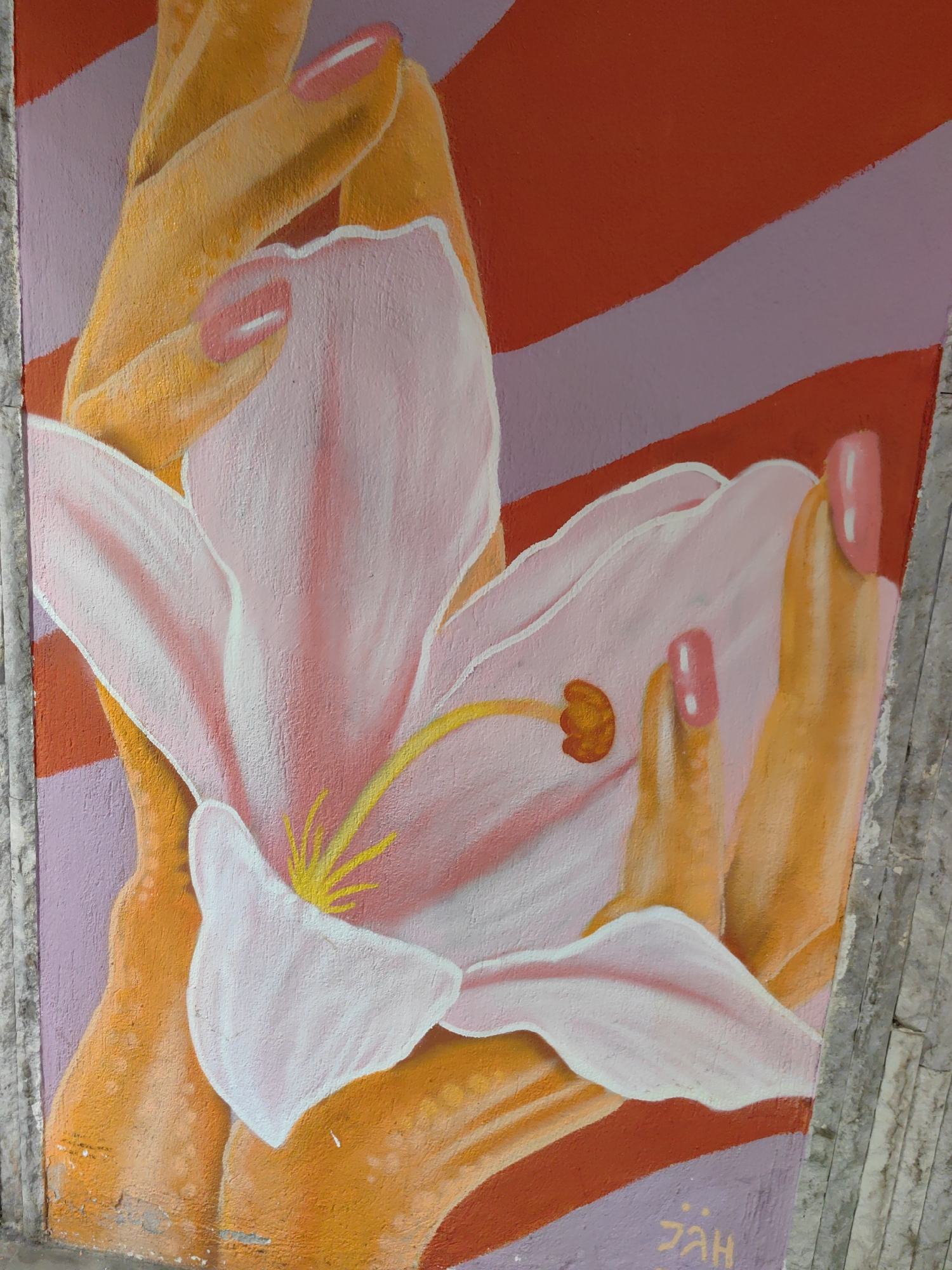 The image is a close-up of a mural, likely painted on a concrete wall in Sofia, Bulgaria. The mural depicts two stylized hands holding a large pink and white flower, possibly a lily. The hands are painted in shades of orange and yellow, with pink nail polish on the fingernails. The background consists of horizontal stripes of red and lavender. The artist's signature, "ZAH," is visible in the lower right corner. The overall style is illustrative and colorful. The mural is located in a public space, possibly an underpass or tunnel.