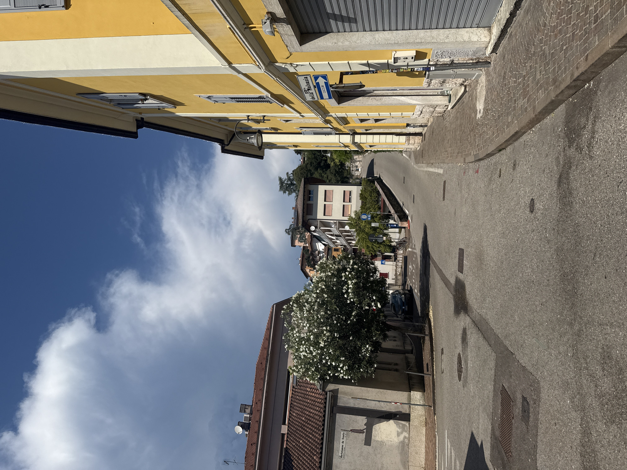 A view of a street corner in Trento, Italy, on a sunny day with scattered clouds. The street is paved and curves uphill to the right, lined with buildings. On the left, a building with a reddish-brown tiled roof has a light gray facade with a sign that reads "Bartolomeo da Trento". A tree with white blossoms stands in front of this building. Across the street on the right, a building with a bright yellow facade has a white trim and several windows. A blue street sign with white lettering and an arrow indicates "Via della Malvasia" and points to the right. A gray metal roll-up door is visible on the ground floor of this building. The sky is a vibrant blue with white clouds.