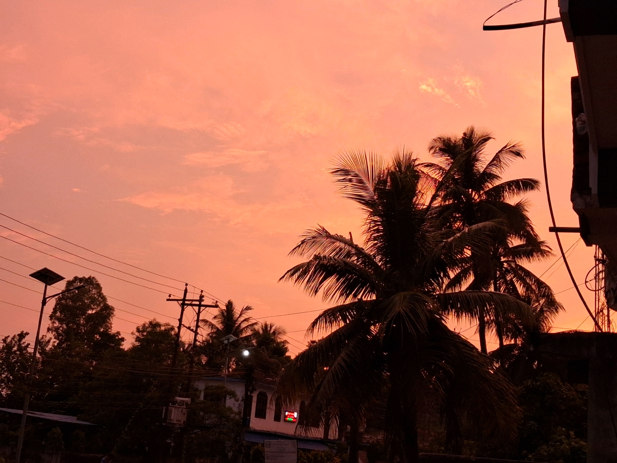 A silhouette of palm trees against a vibrant orange sky is visible in Ramdhuni, Nepal. The sky is filled with wispy clouds, creating a dramatic sunset. In the foreground, the dark fronds of the palm trees are sharply defined against the bright sky. In the background, there are hints of buildings and utility poles. A street light with a solar panel is visible on the left side of the image, along with overhead power lines. The overall impression is one of a serene evening scene in a tropical or subtropical location.